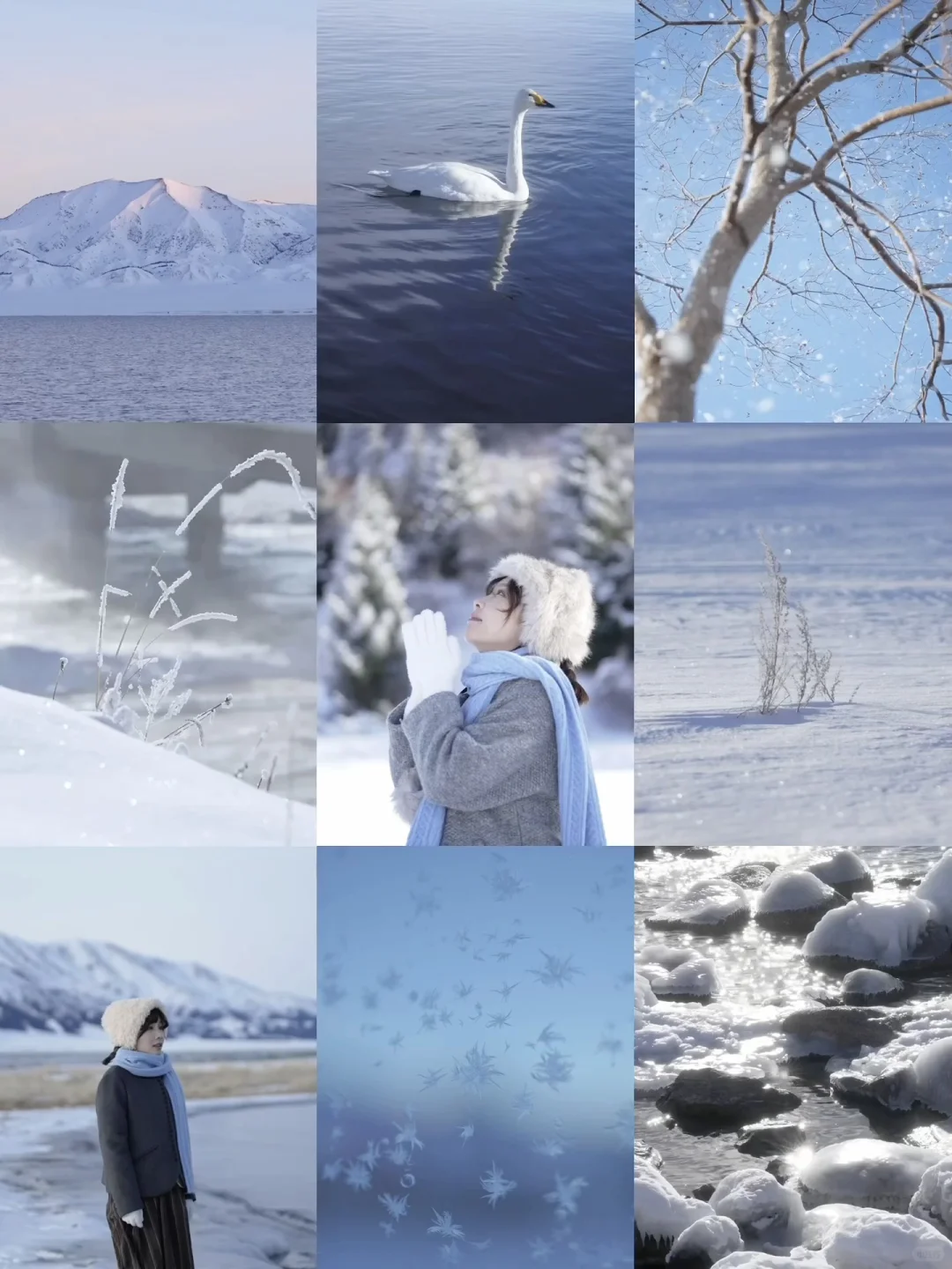 Just live·对话四季