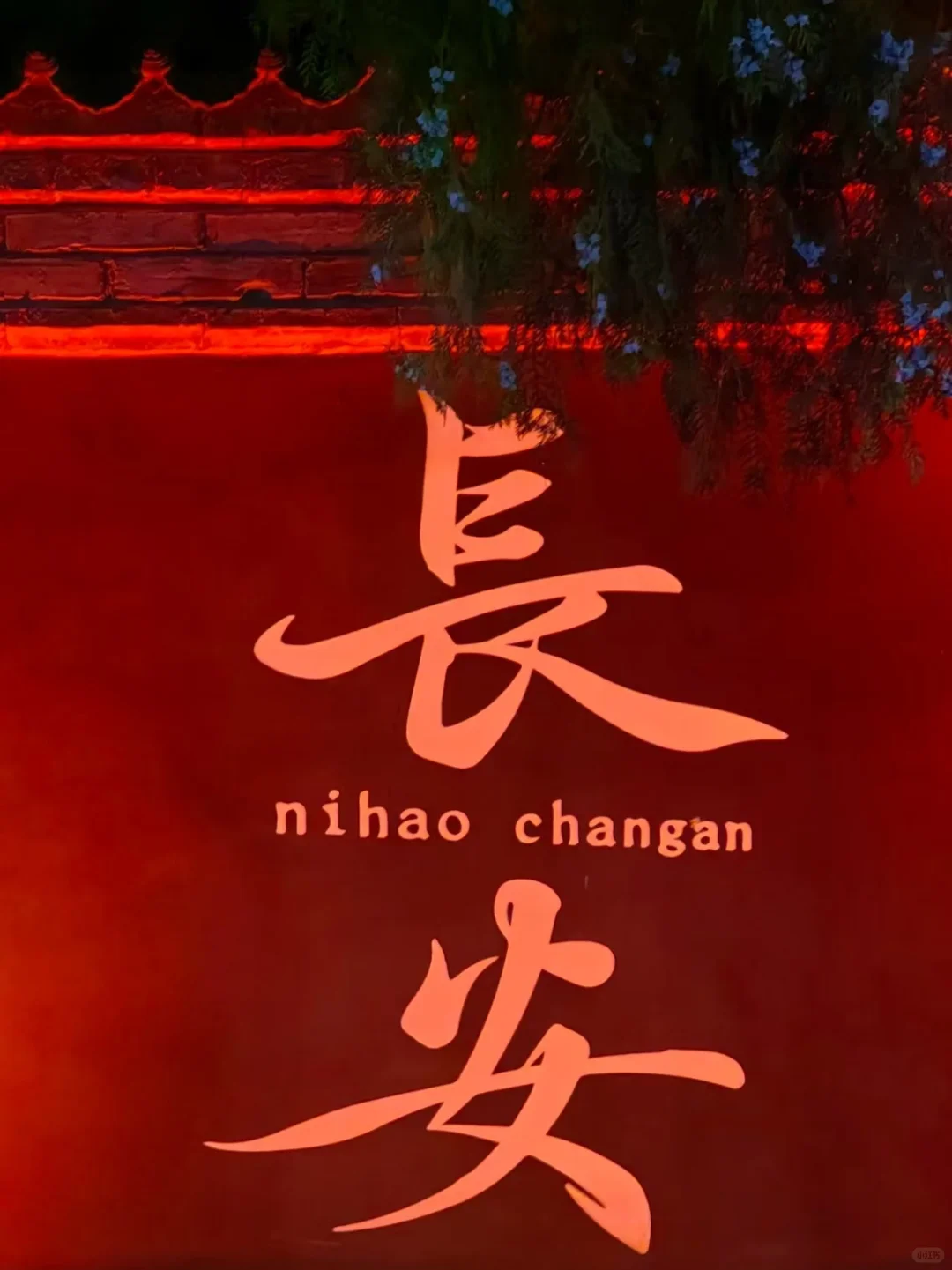 西安｜一座长安城 半部中国史📚