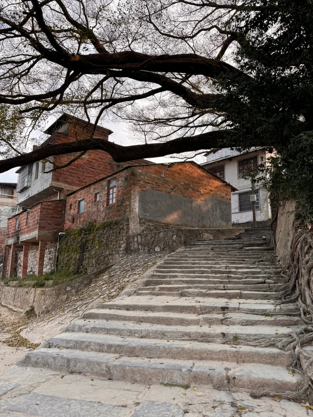 这居然是在柳州？！