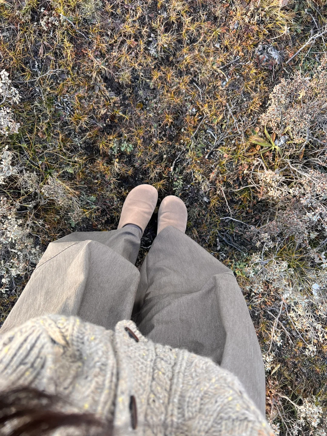 我的人生备忘录又增加了一页