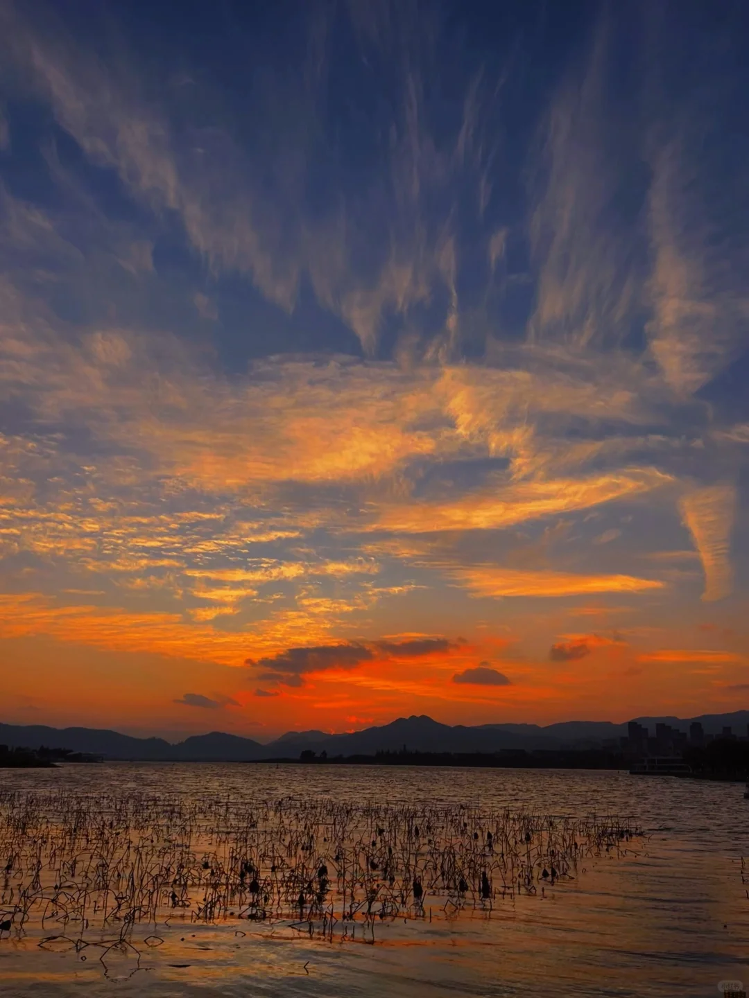 凤凰🐦🔥晚霞live |昆明的晚霞简直了😭