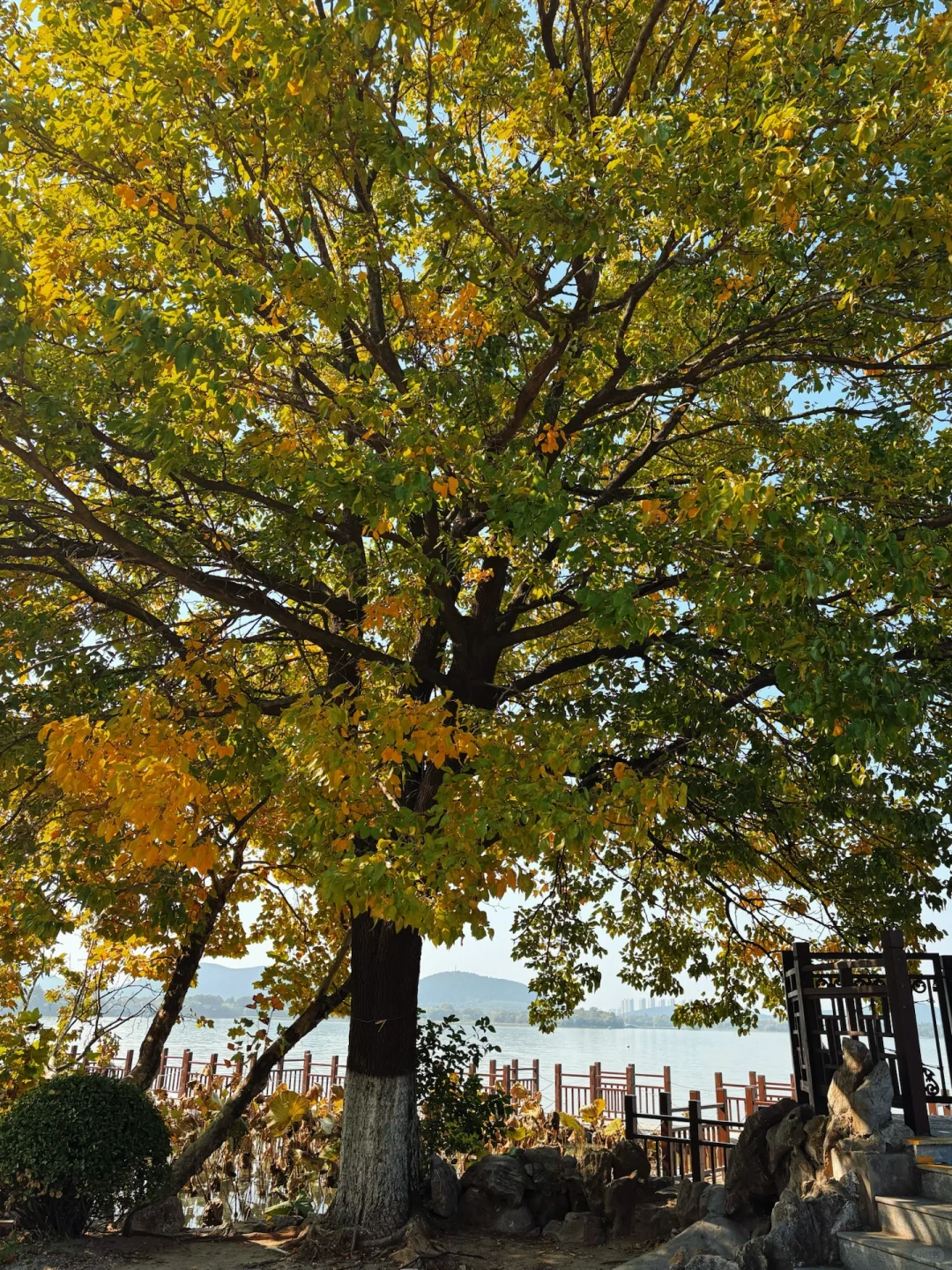 徐州📍两天一夜旅游攻略✔️不踩雷懒人版！