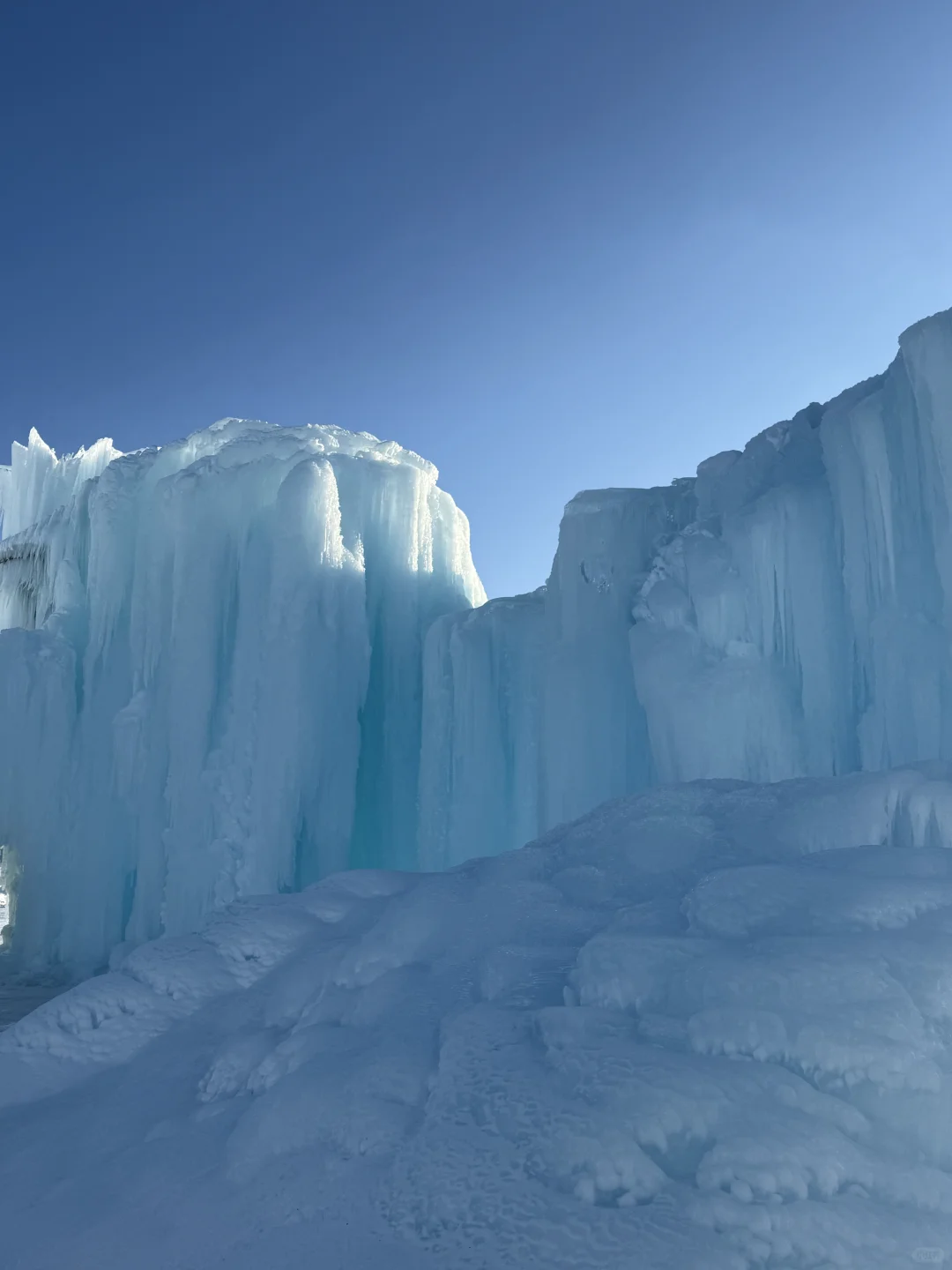 1.2今日赛里木湖实况，终于看到了雪地天鹅