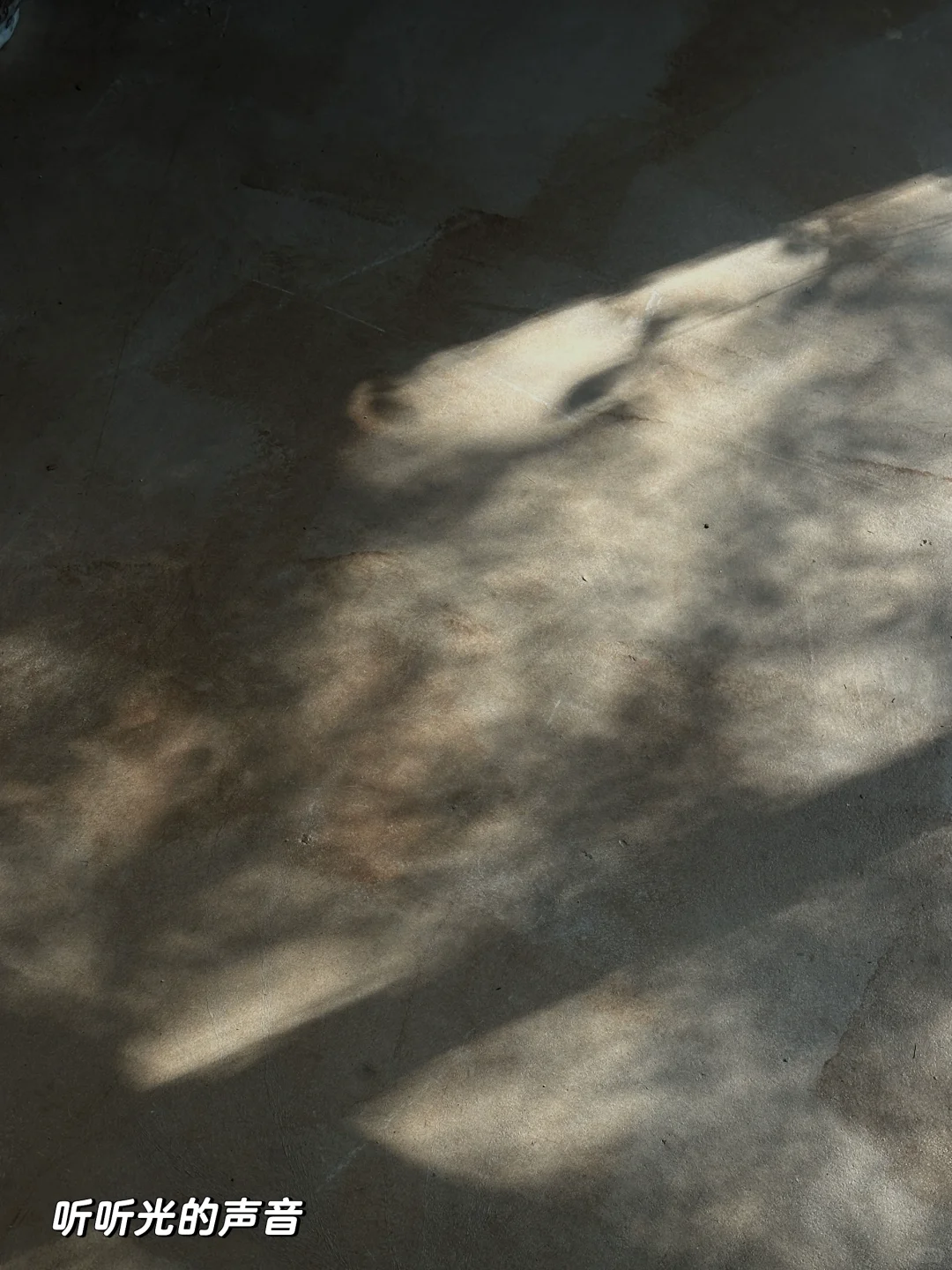 新年，一个人在景德镇的两天两夜