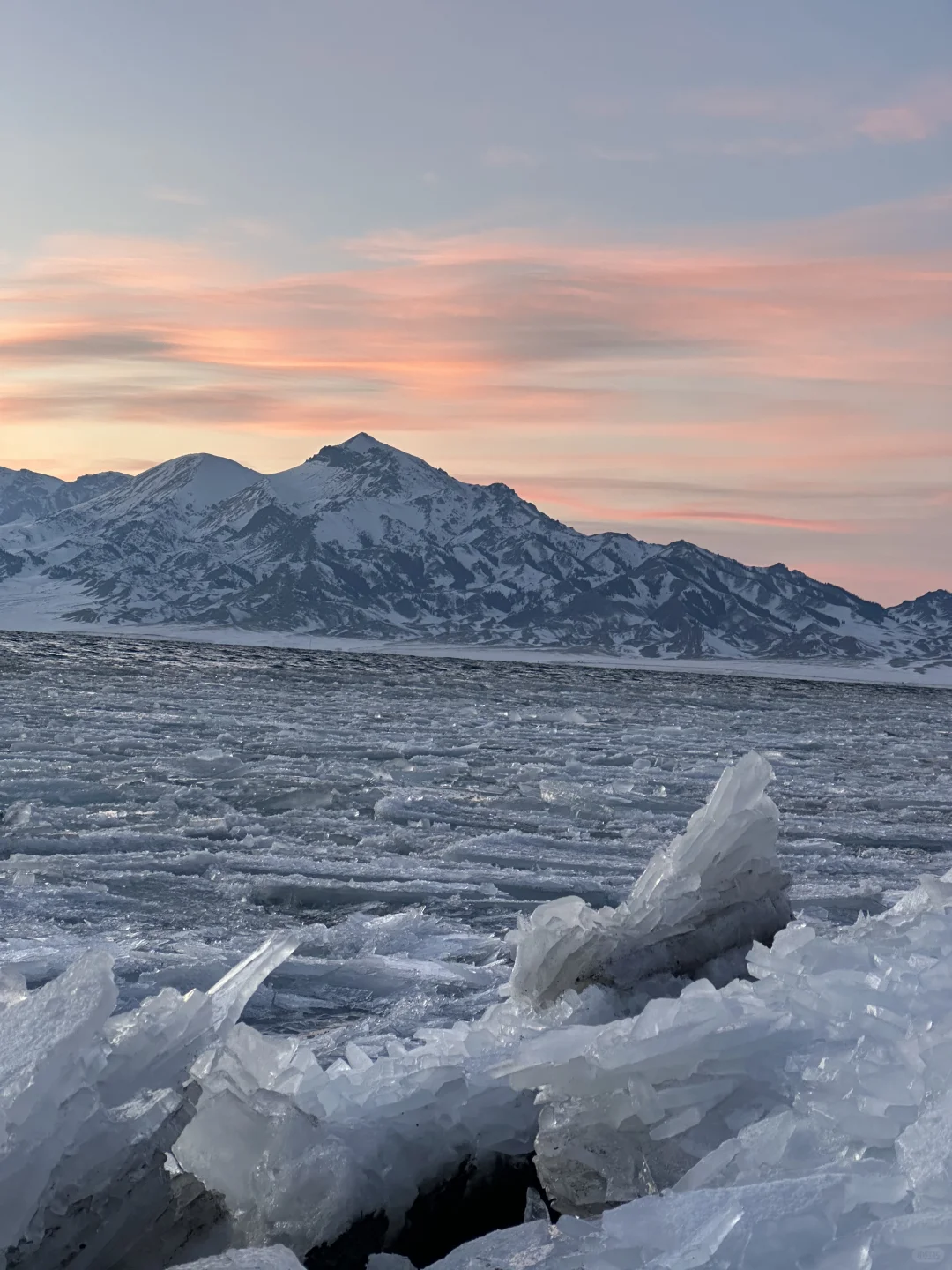 1.2今日赛里木湖实况，终于看到了雪地天鹅