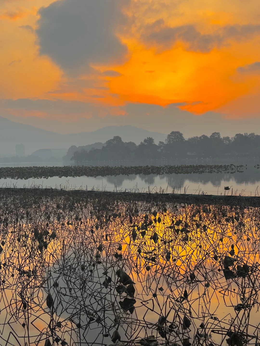 玄武湖＝“原谅世界湖”🌊 南京最大能量场！