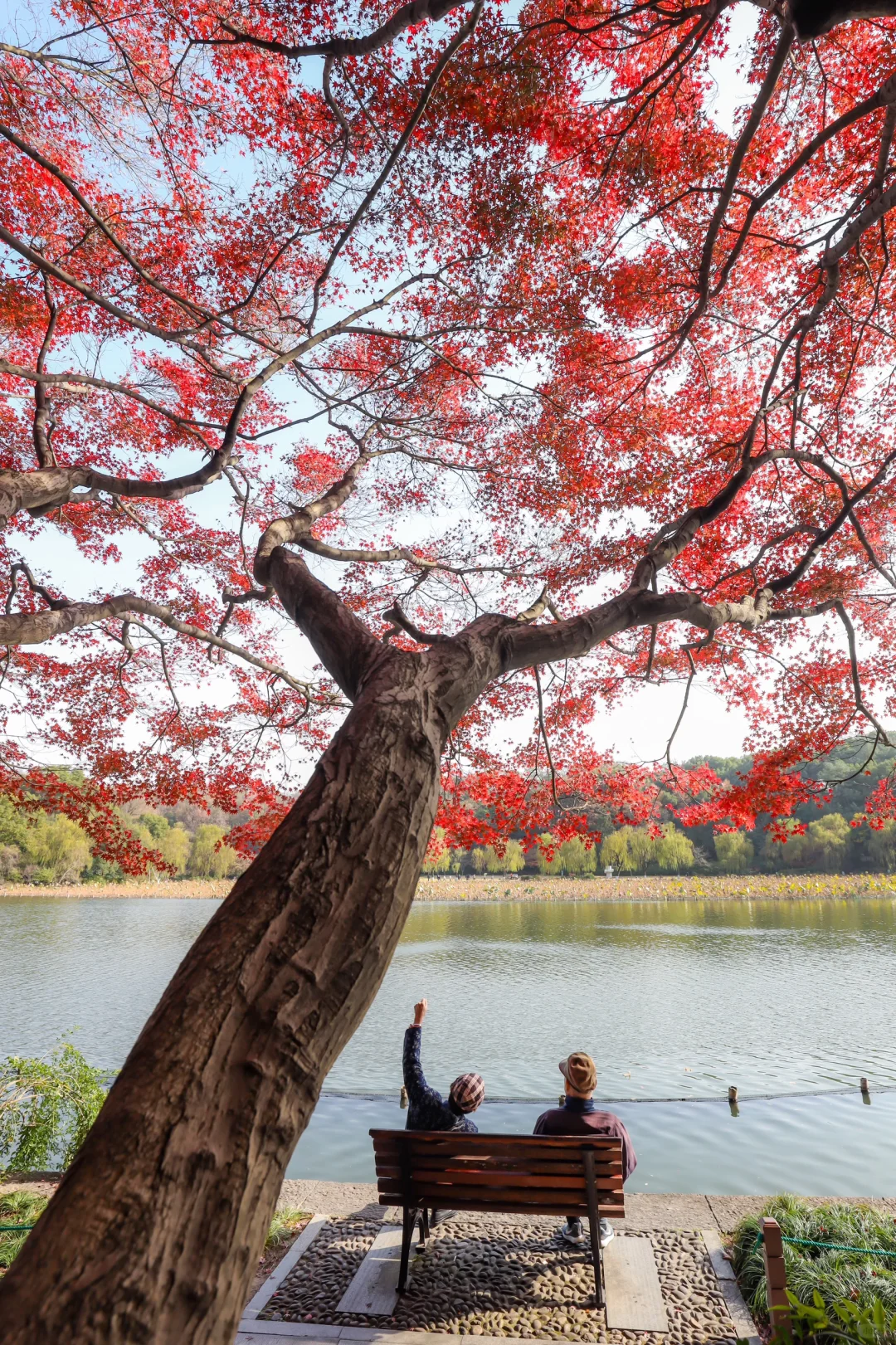 在杭州，我只去这5个地方