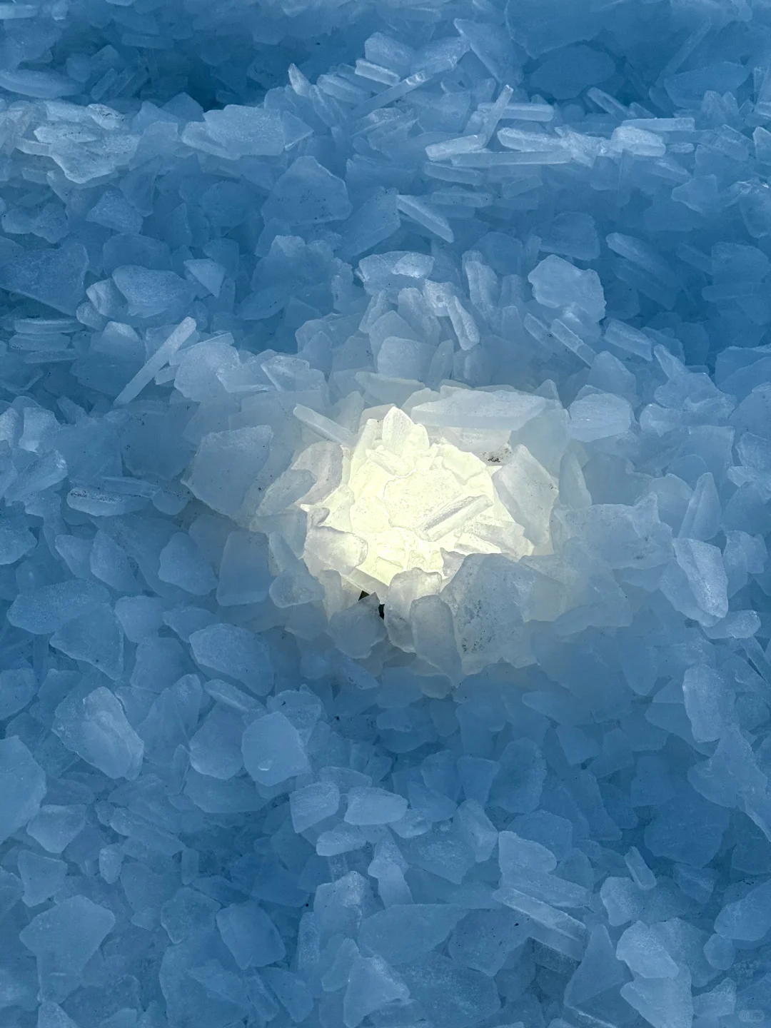 1.2今日赛里木湖实况，终于看到了雪地天鹅