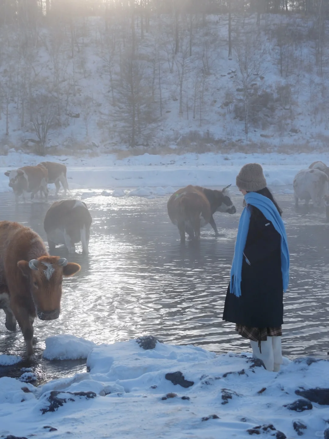 发现一座冬日浪漫小城，live绝了！（附攻略）