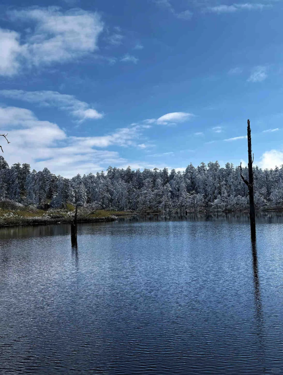 📍人生无解，瓦屋撒野