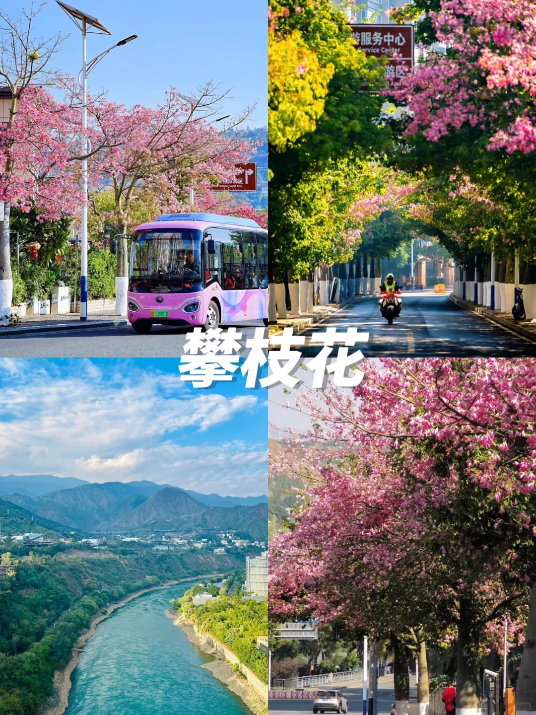 12月避寒反向旅游进👏这9个城市不去后悔‼️