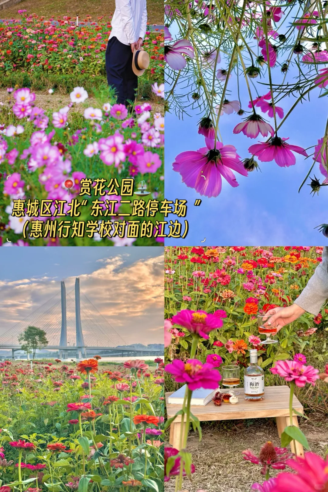 救命…别再问我惠州旅游攻略啦！快戳👉👉👉