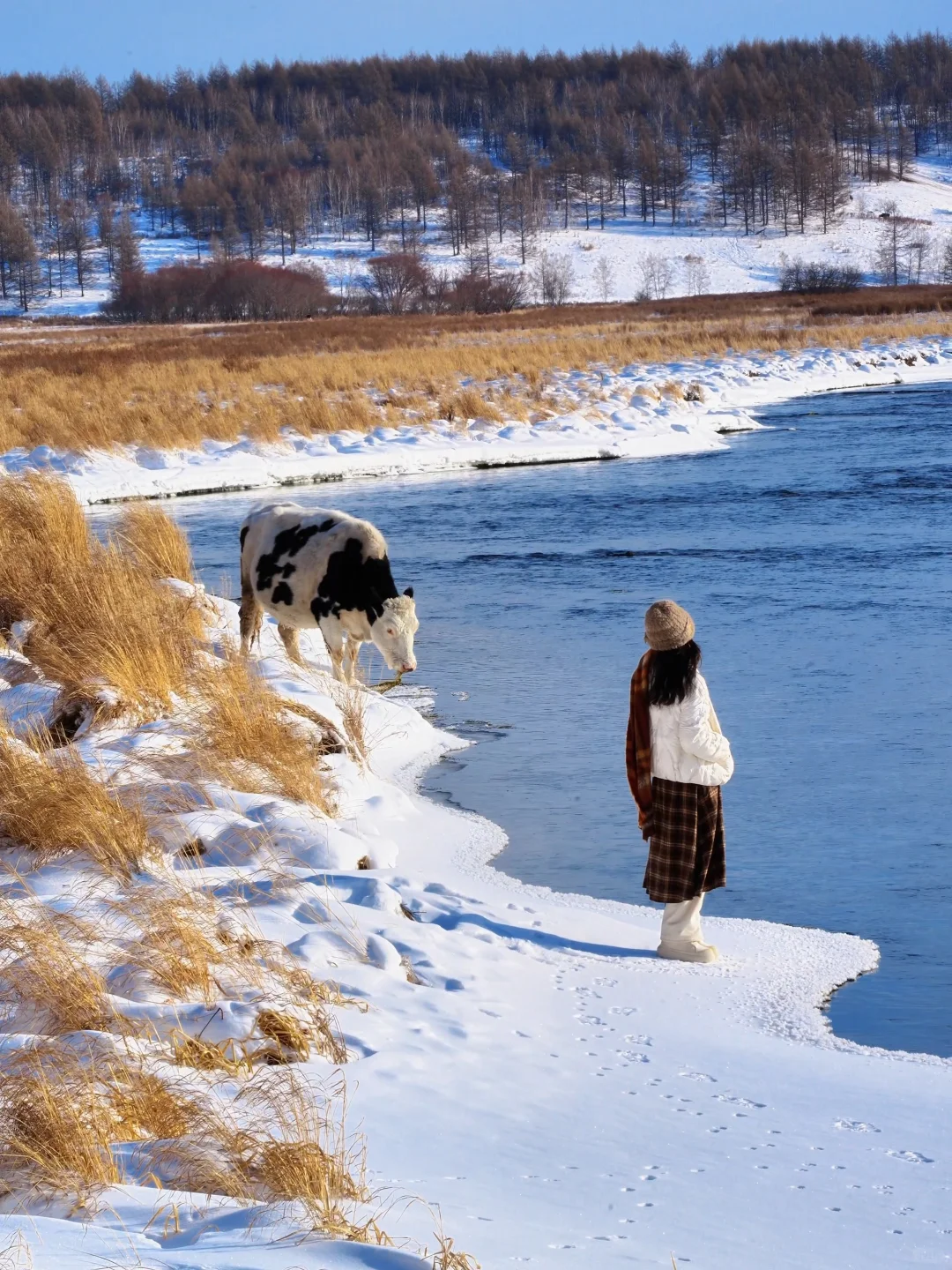 发现一座冬日浪漫小城，live绝了！（附攻略）