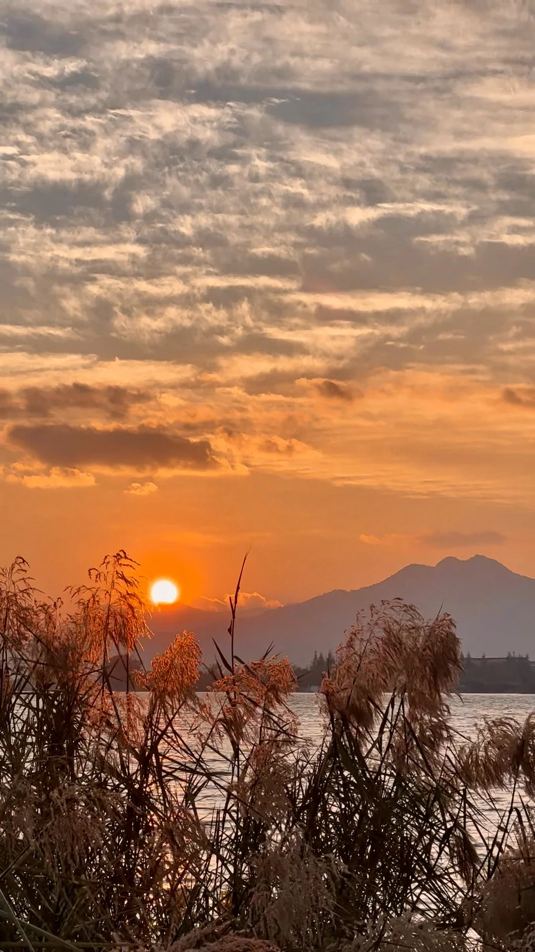 凤凰🐦🔥晚霞live |昆明的晚霞简直了😭