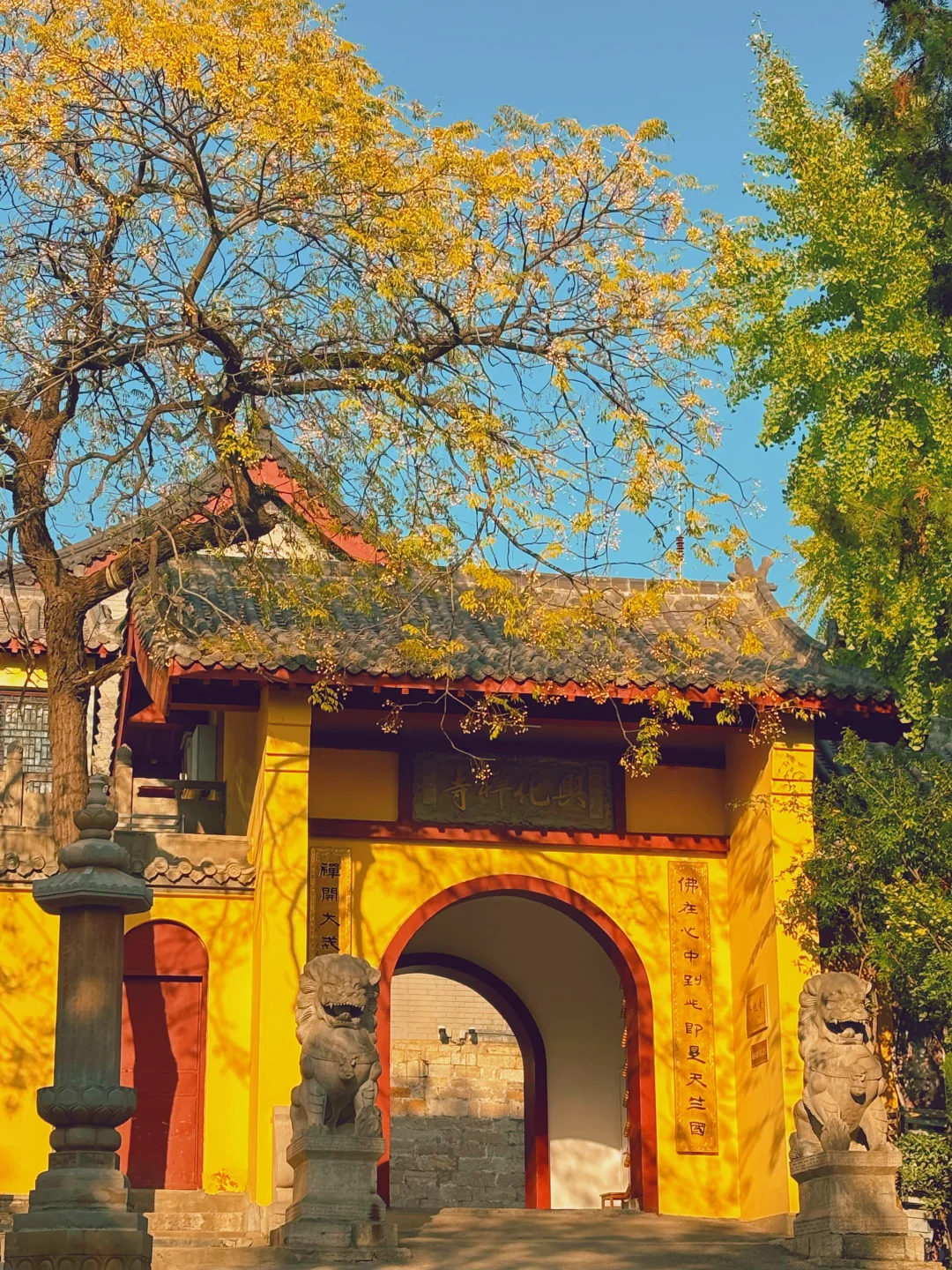 徐州📍两天一夜旅游攻略✔️不踩雷懒人版！