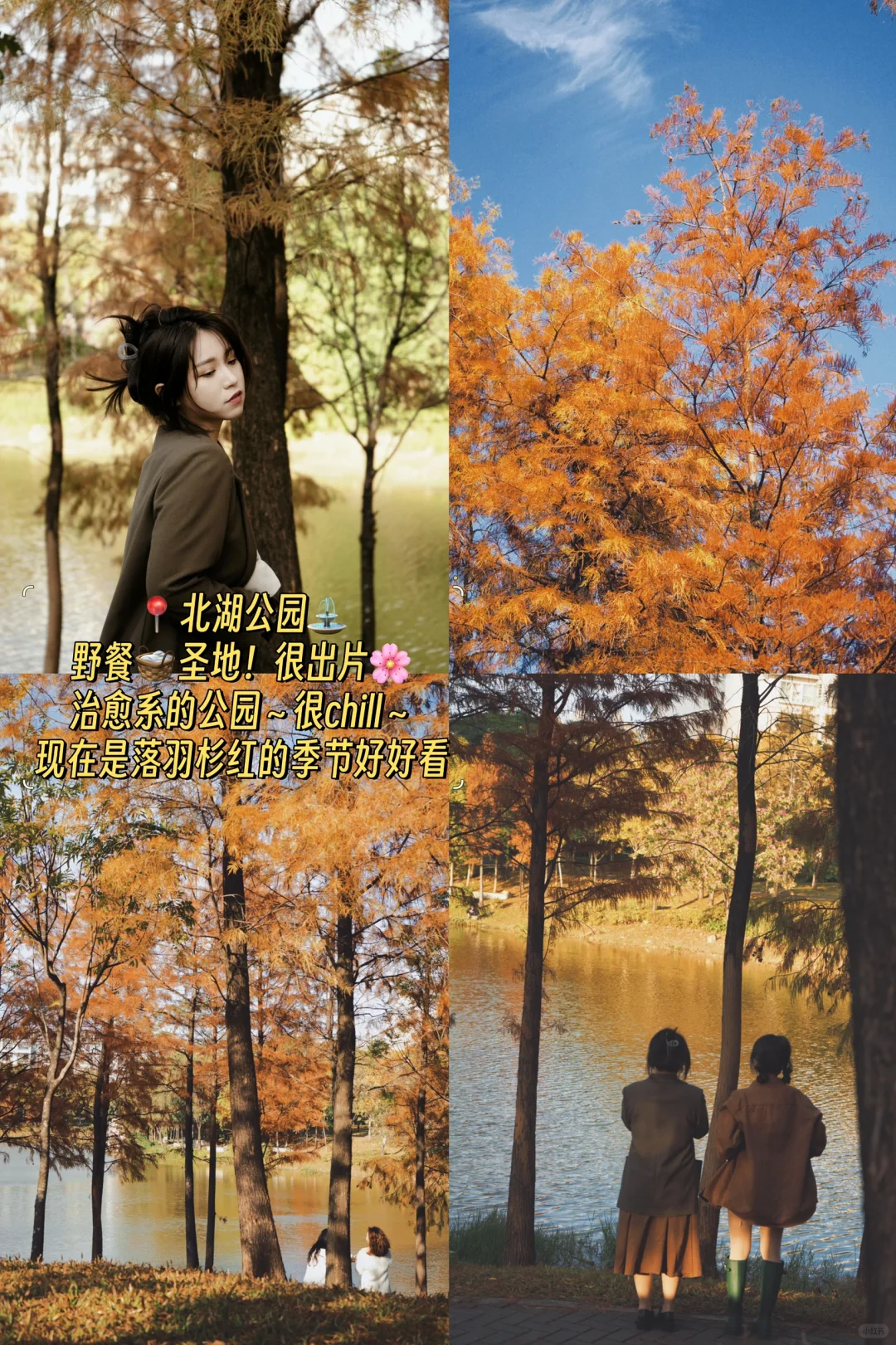 救命…别再问我惠州旅游攻略啦！快戳👉👉👉