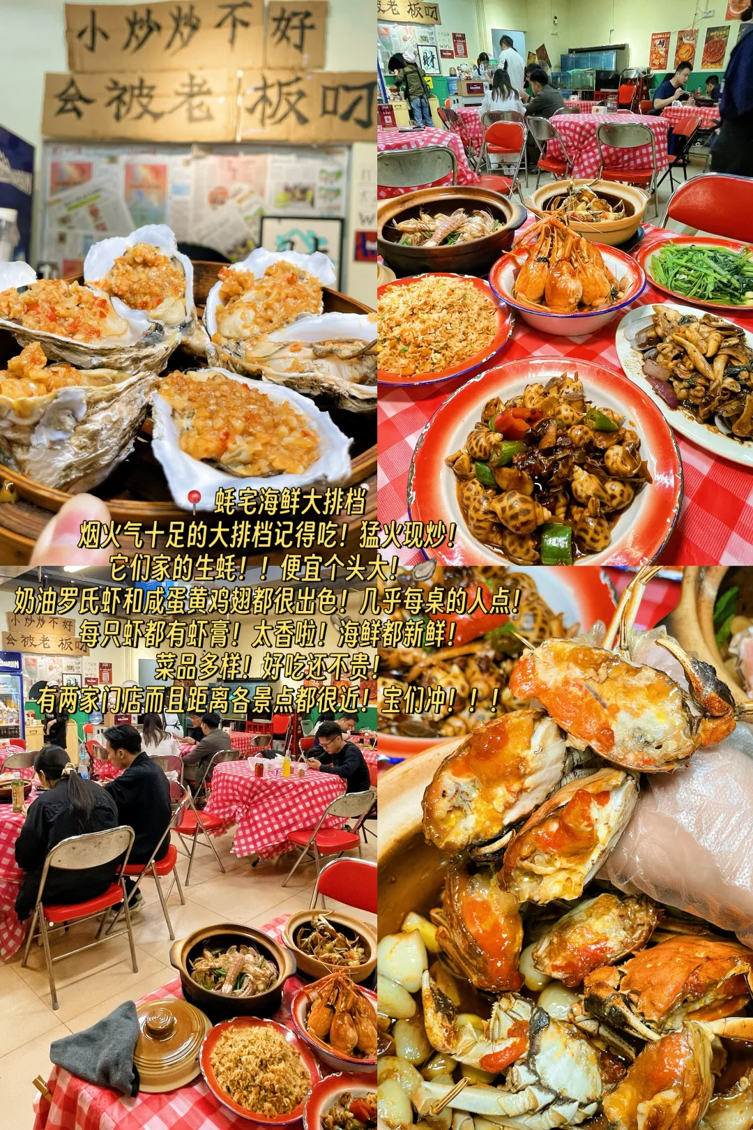 救命…别再问我惠州旅游攻略啦！快戳👉👉👉