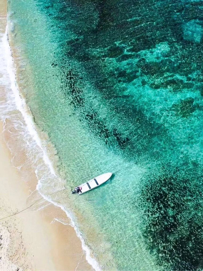 斐济免签没人么...😱春节划算到怀疑人生