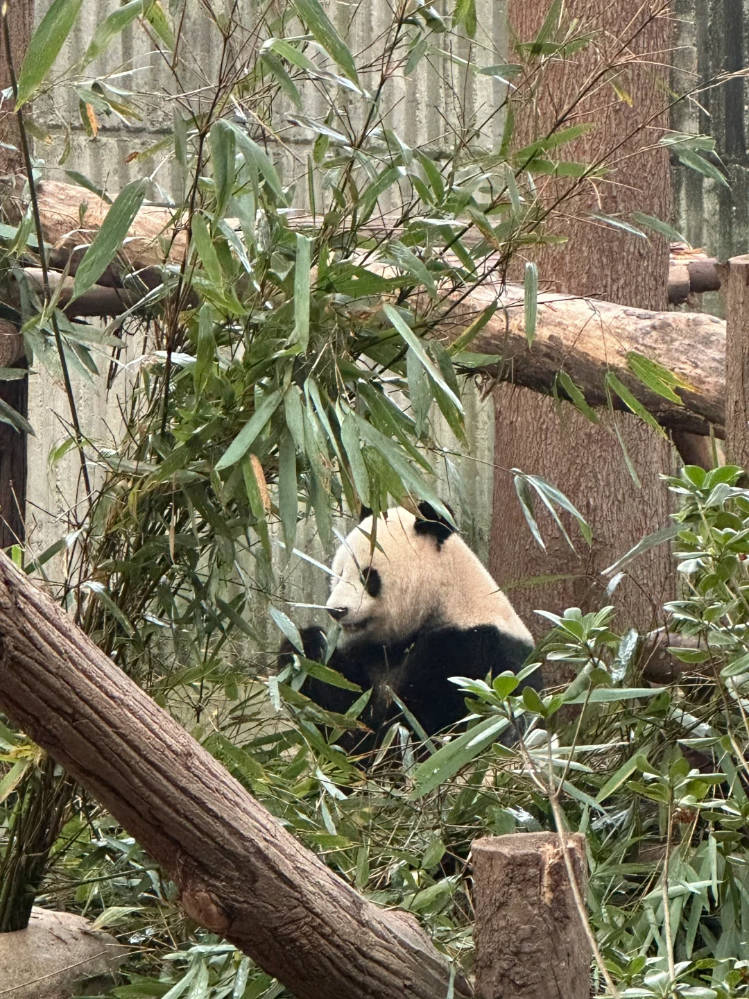 石家庄到成都三天两晚旅游攻略