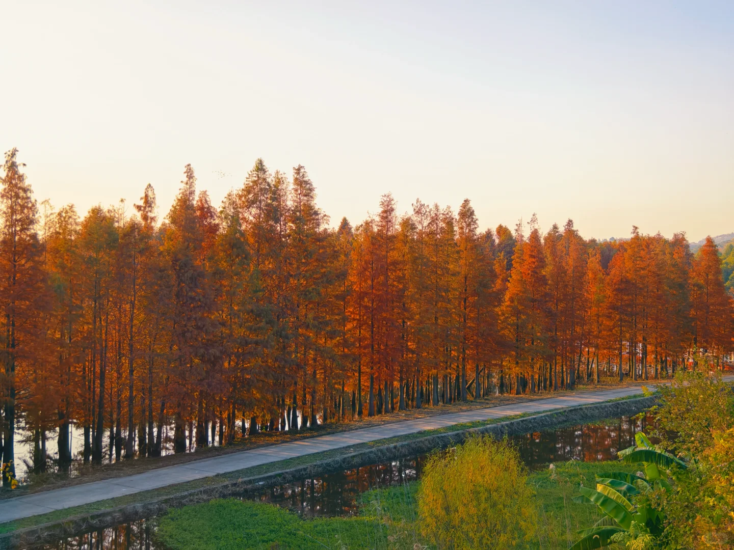 12.15实拍！苏州也有自己的阿勒泰（附位置