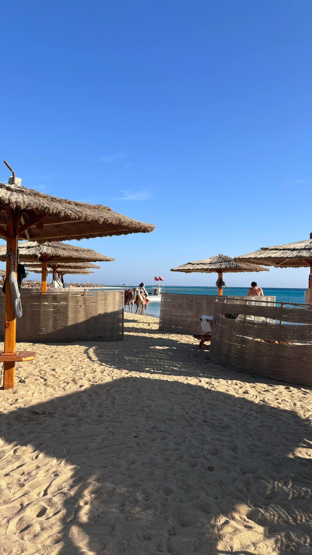 🇪🇬逃离英国晒太阳