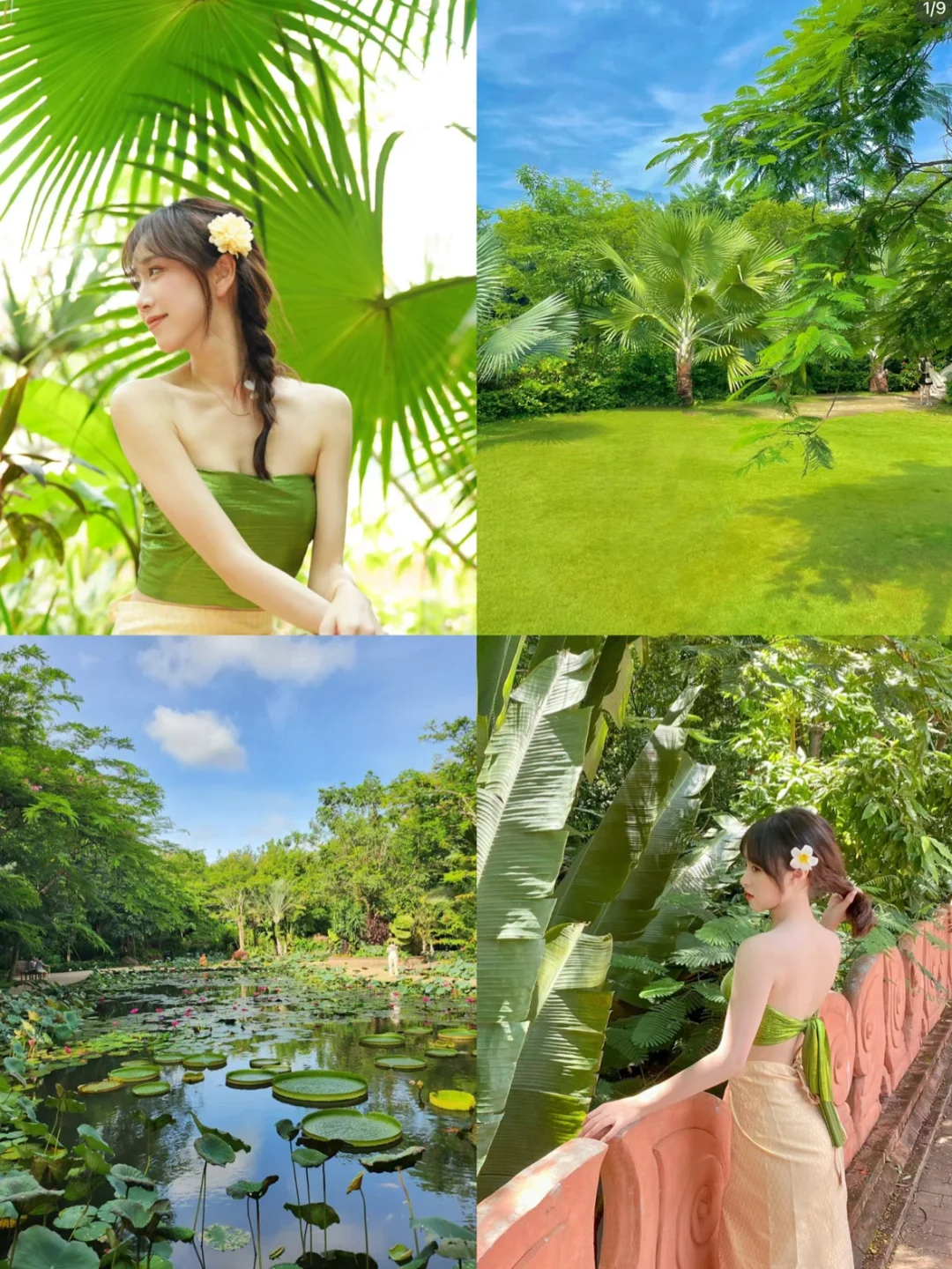 🌴和男朋友去西双版纳玩了5天花💰1800