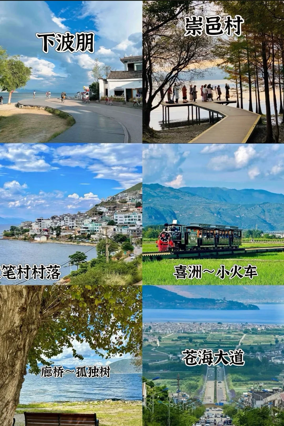 在大理包车的看过来