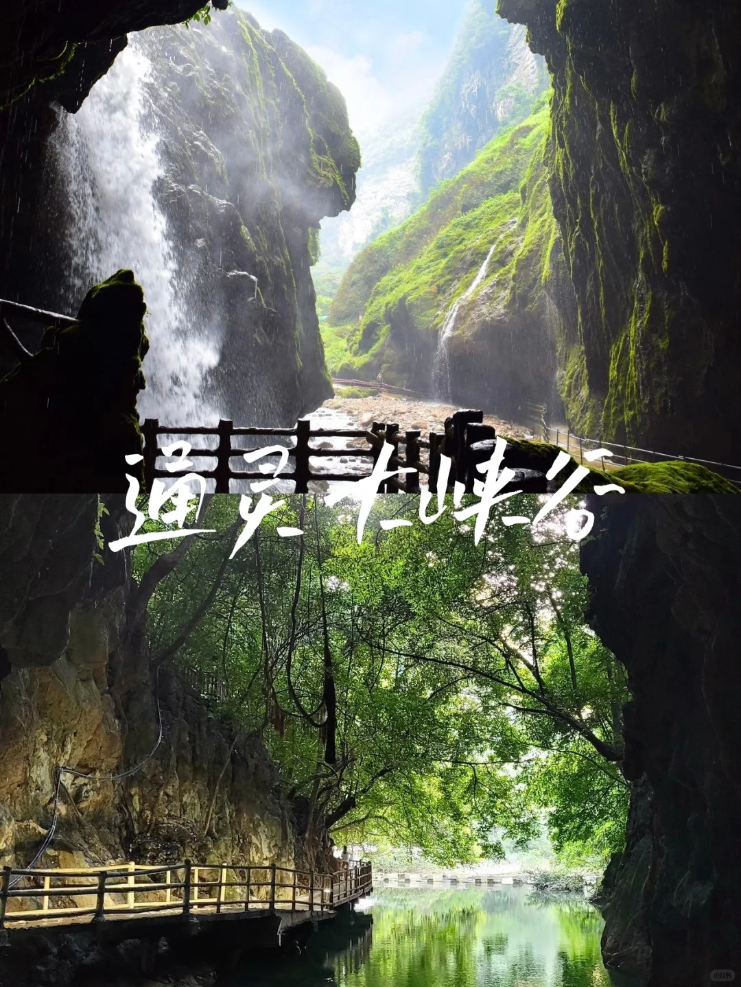 我也不想去广西，可崇左也太适合冬季旅游了