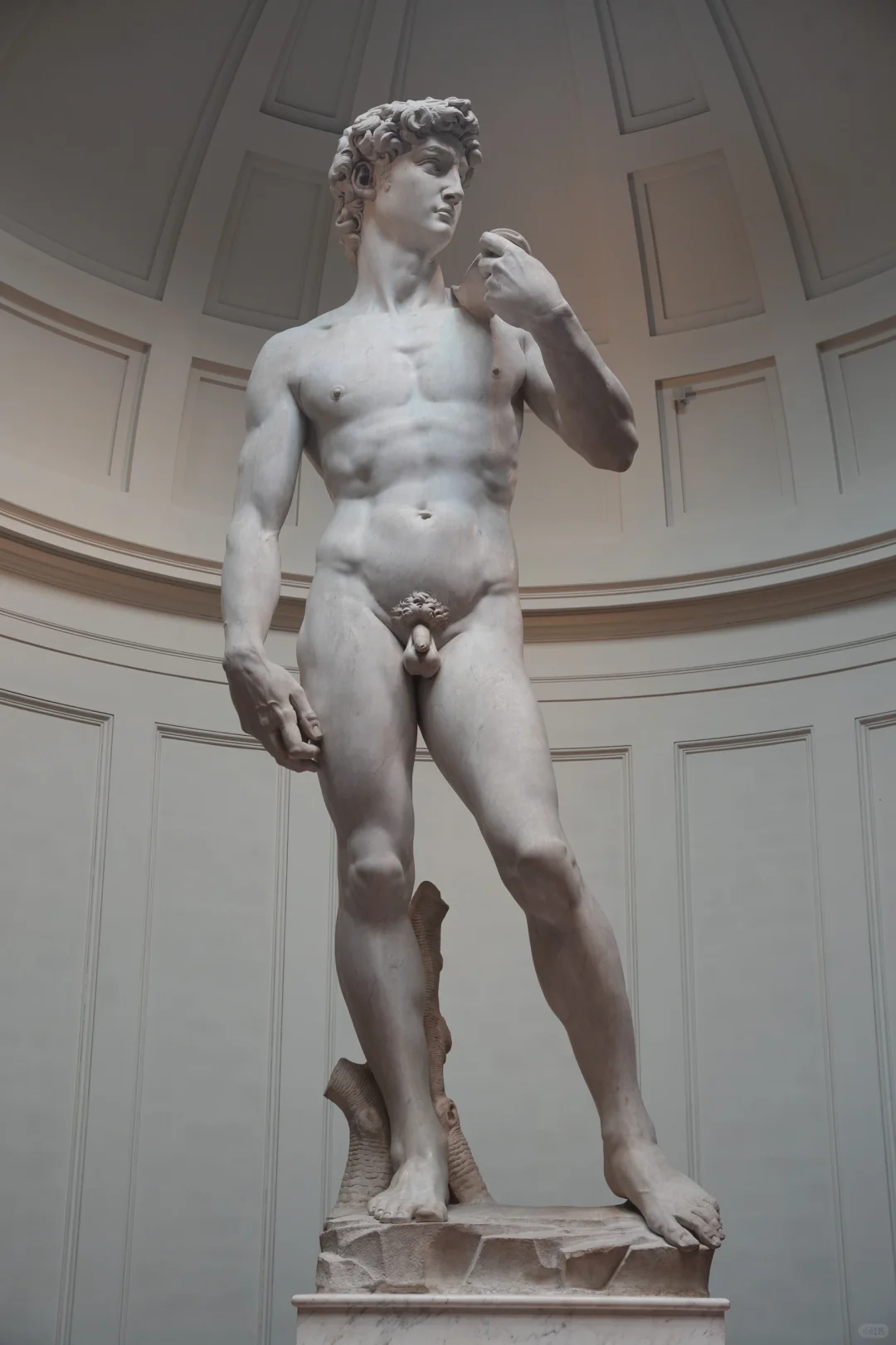 佛罗伦萨2天1夜怎么玩？一篇攻略说清楚！