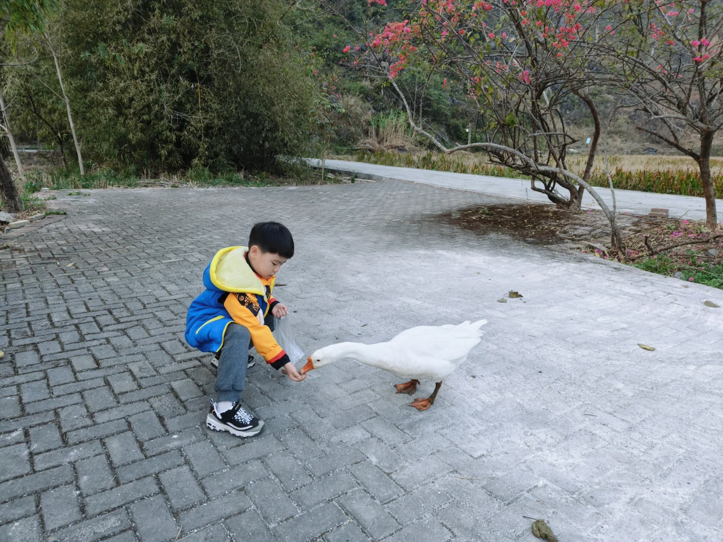 冬季南宁-崇左-百色6天5晚自驾亲子游攻略