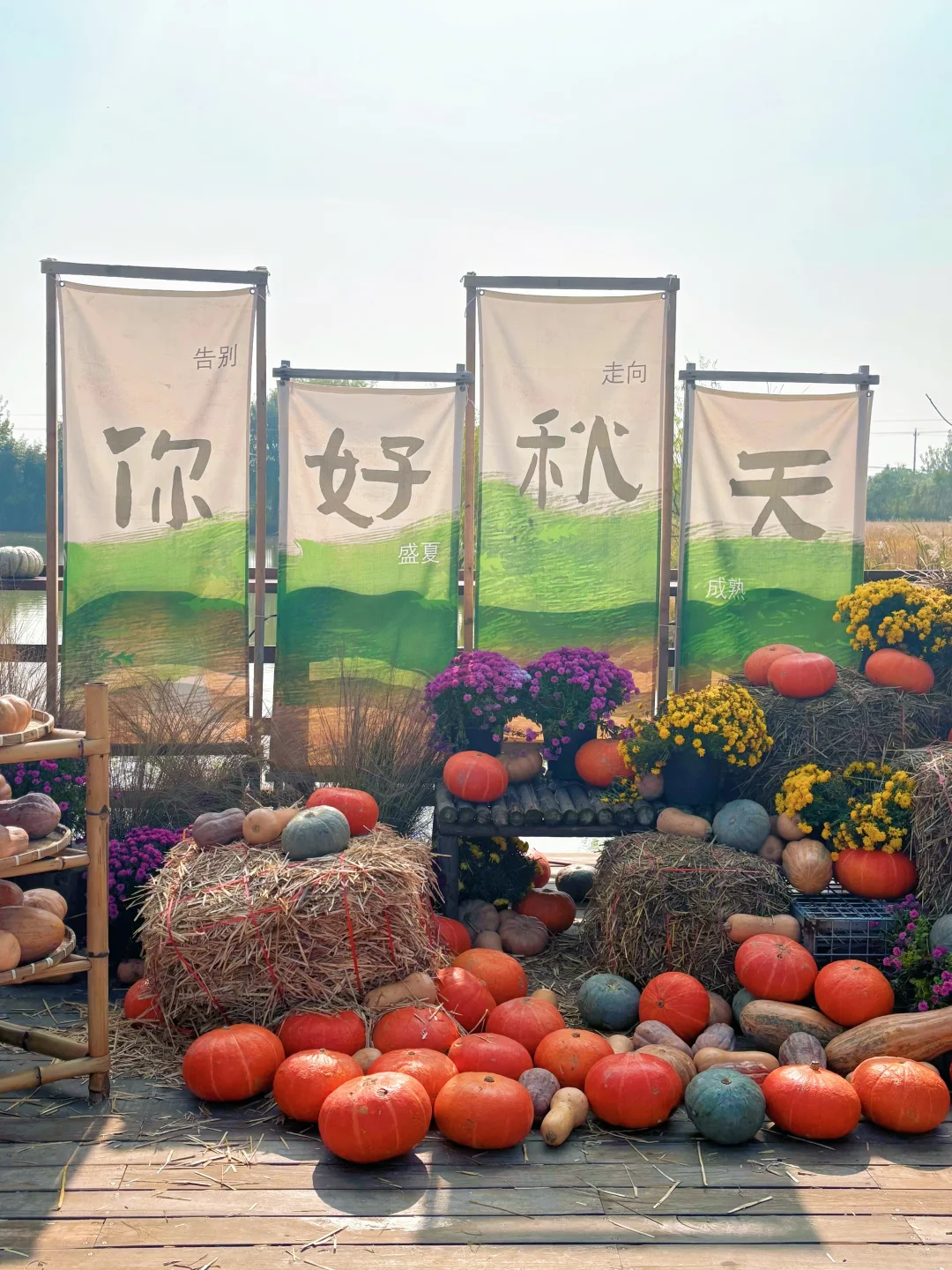 徐州📍两天一夜旅游攻略✔️不踩雷懒人版！