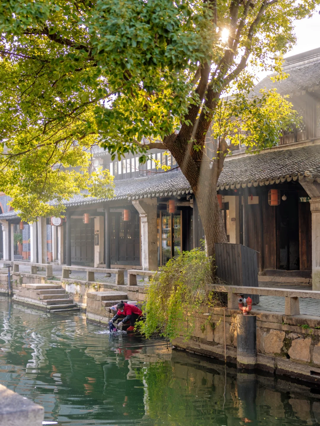 上海0.5h高铁直达 这座千年古镇藏不住了 ！