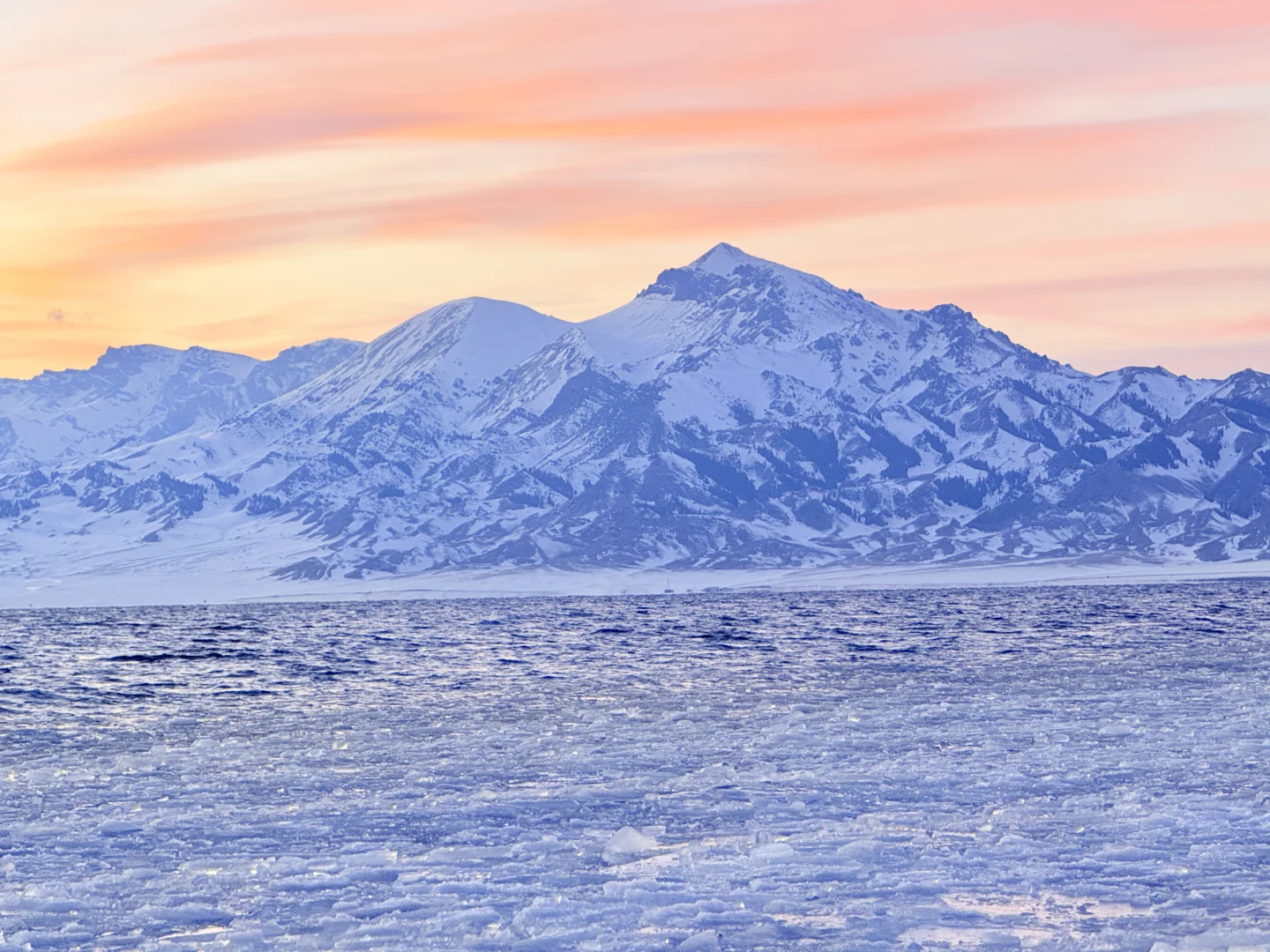 1.2今日赛里木湖实况，终于看到了雪地天鹅