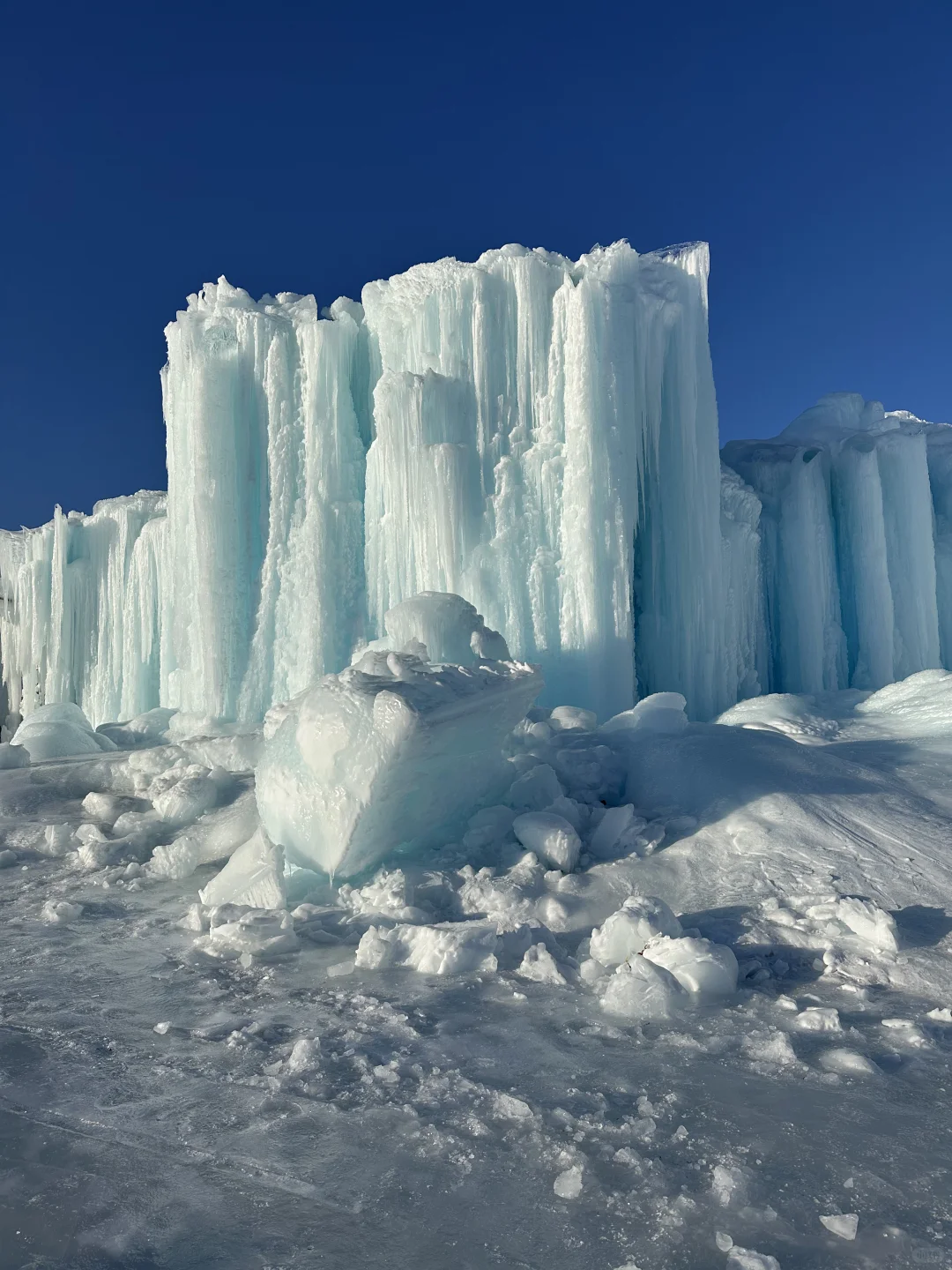 1.2今日赛里木湖实况，终于看到了雪地天鹅