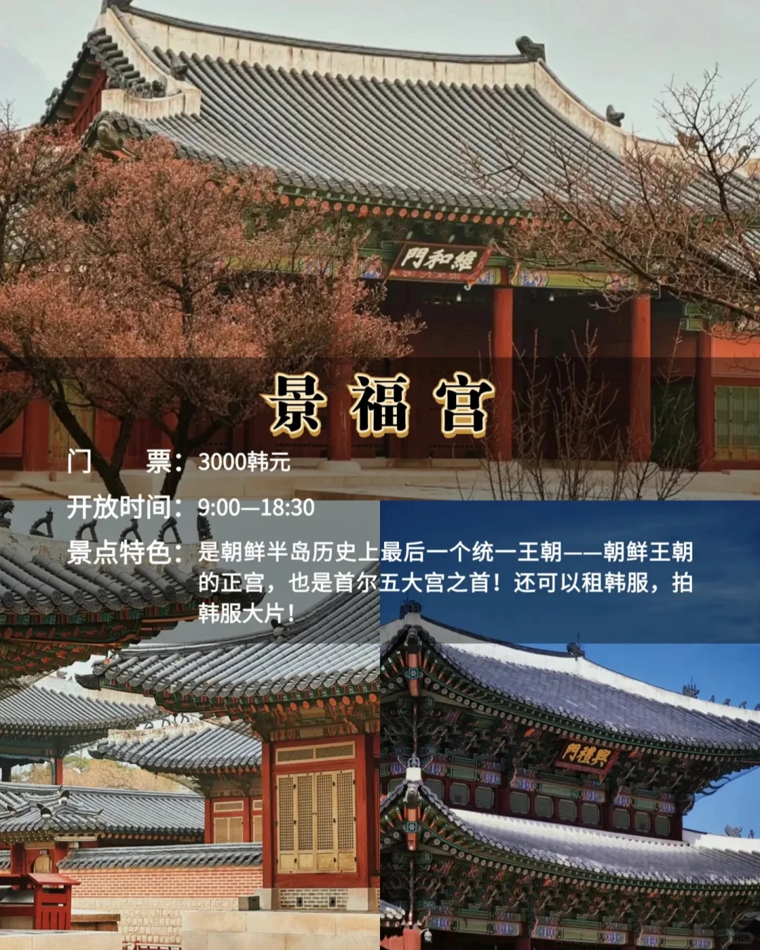 韩国🇰🇷必去的九大景点✅新手必看