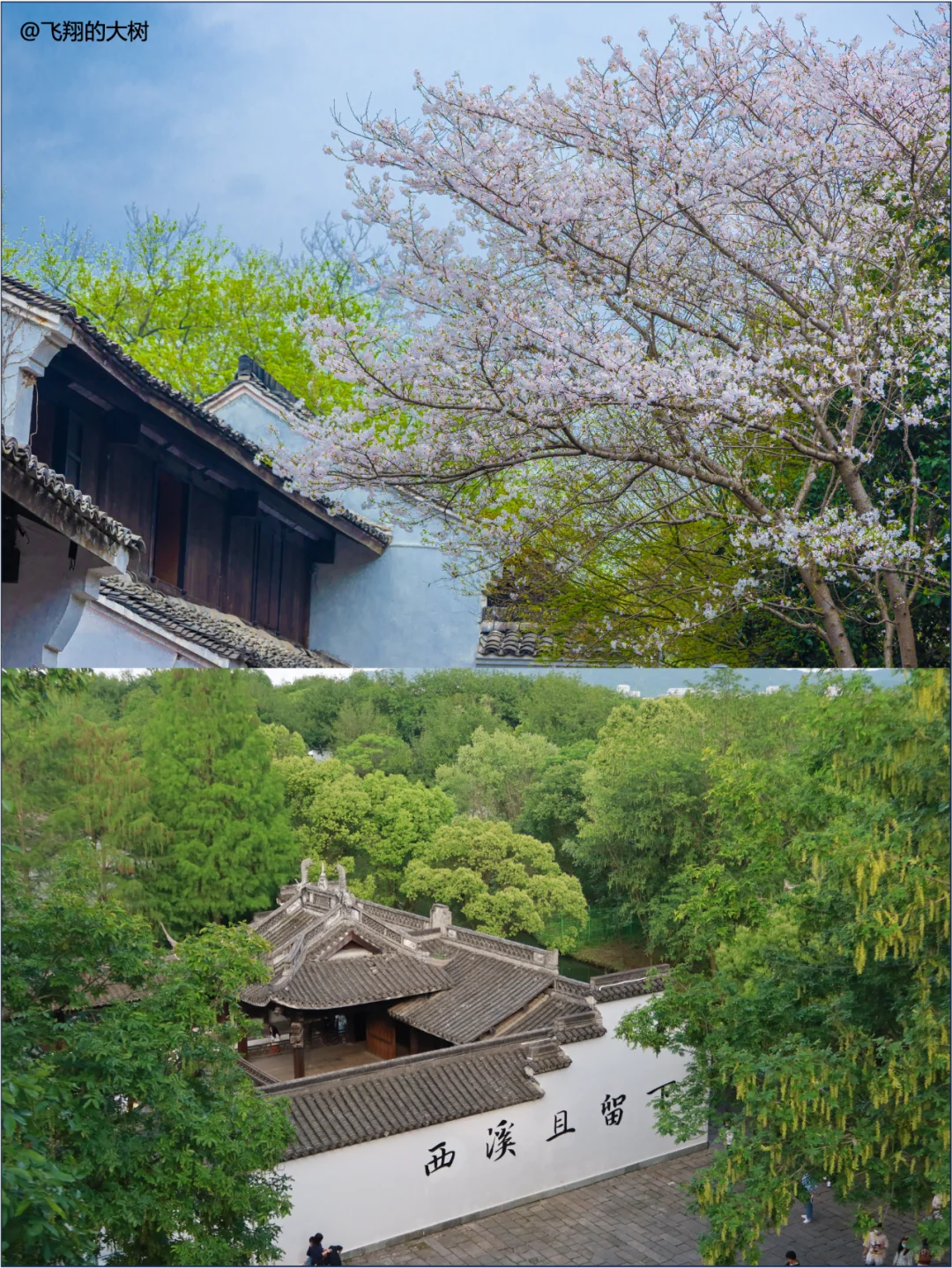 工作3年整理！杭州最全旅游攻略！1篇顶10篇