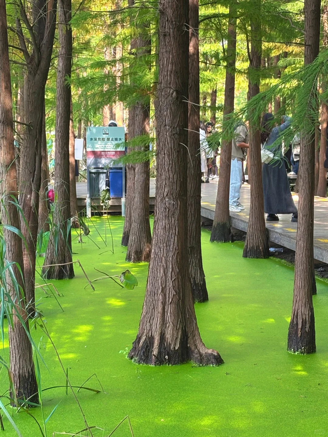 徐州📍两天一夜旅游攻略✔️不踩雷懒人版！
