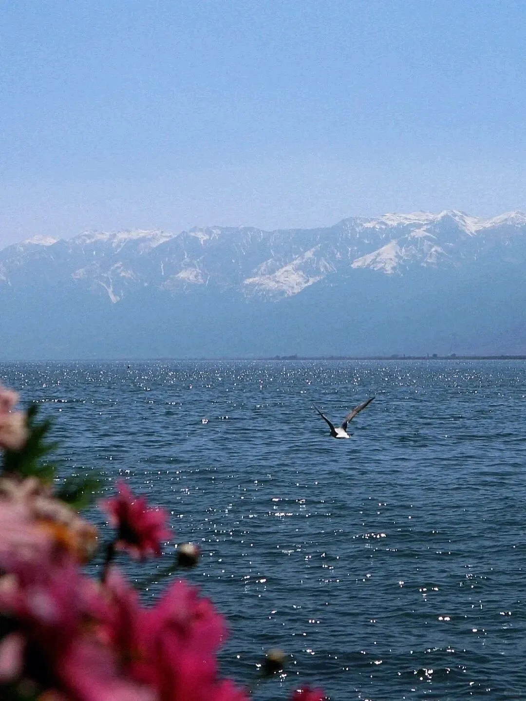 🌅云南旅游攻略6️⃣天玩转热门景点