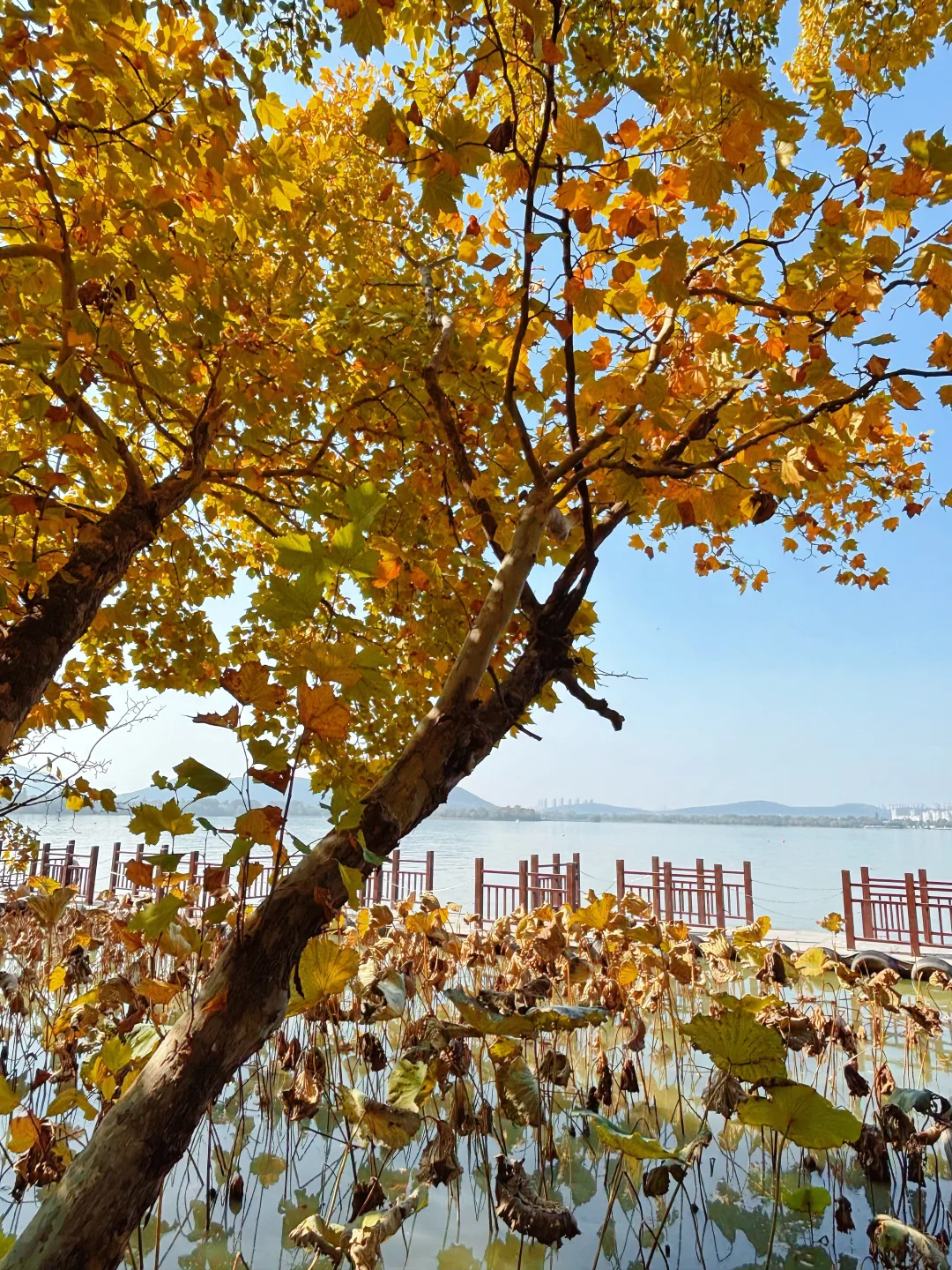 徐州📍两天一夜旅游攻略✔️不踩雷懒人版！