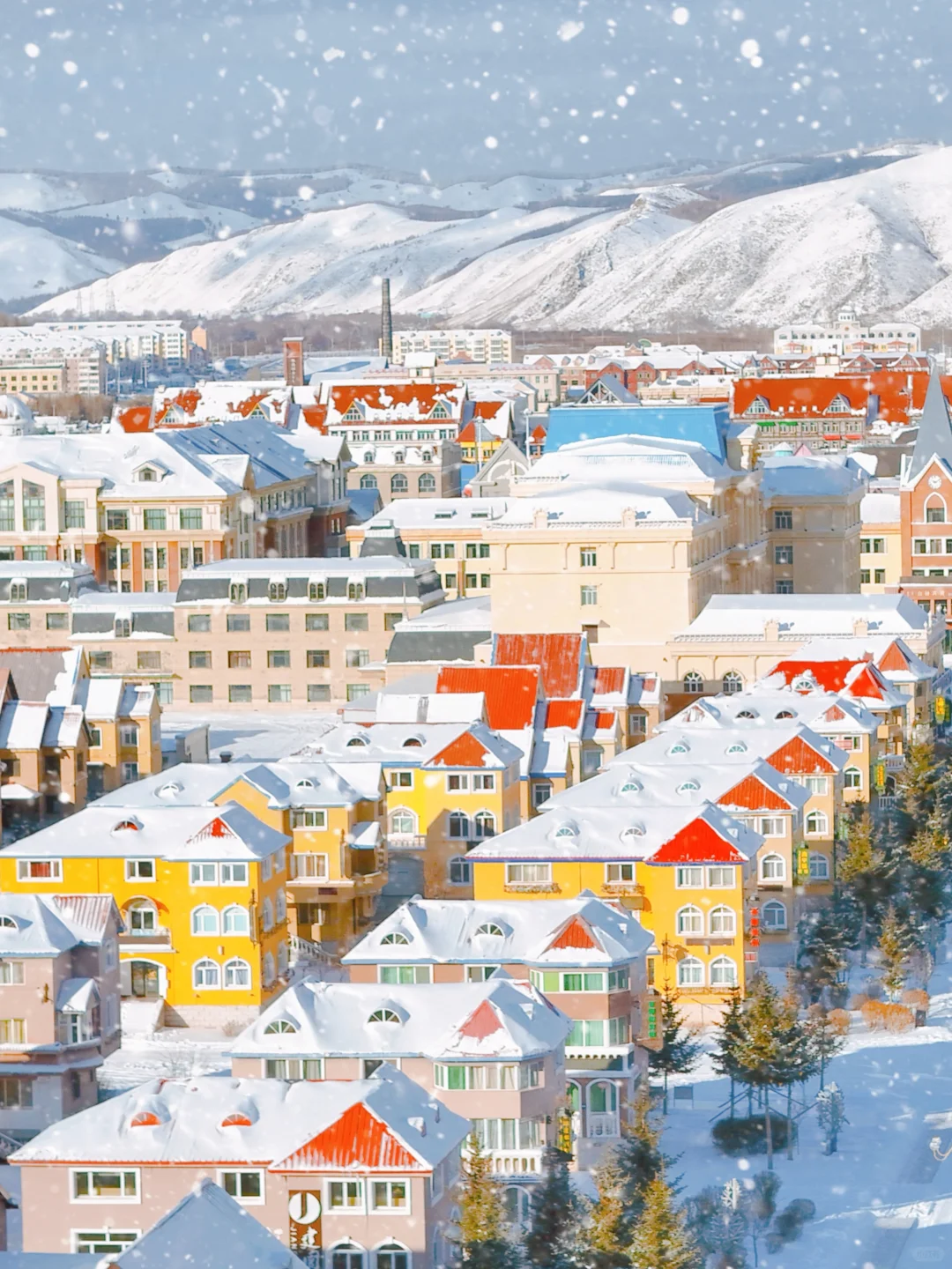 发现一座冬日浪漫小城，live绝了！（附攻略）