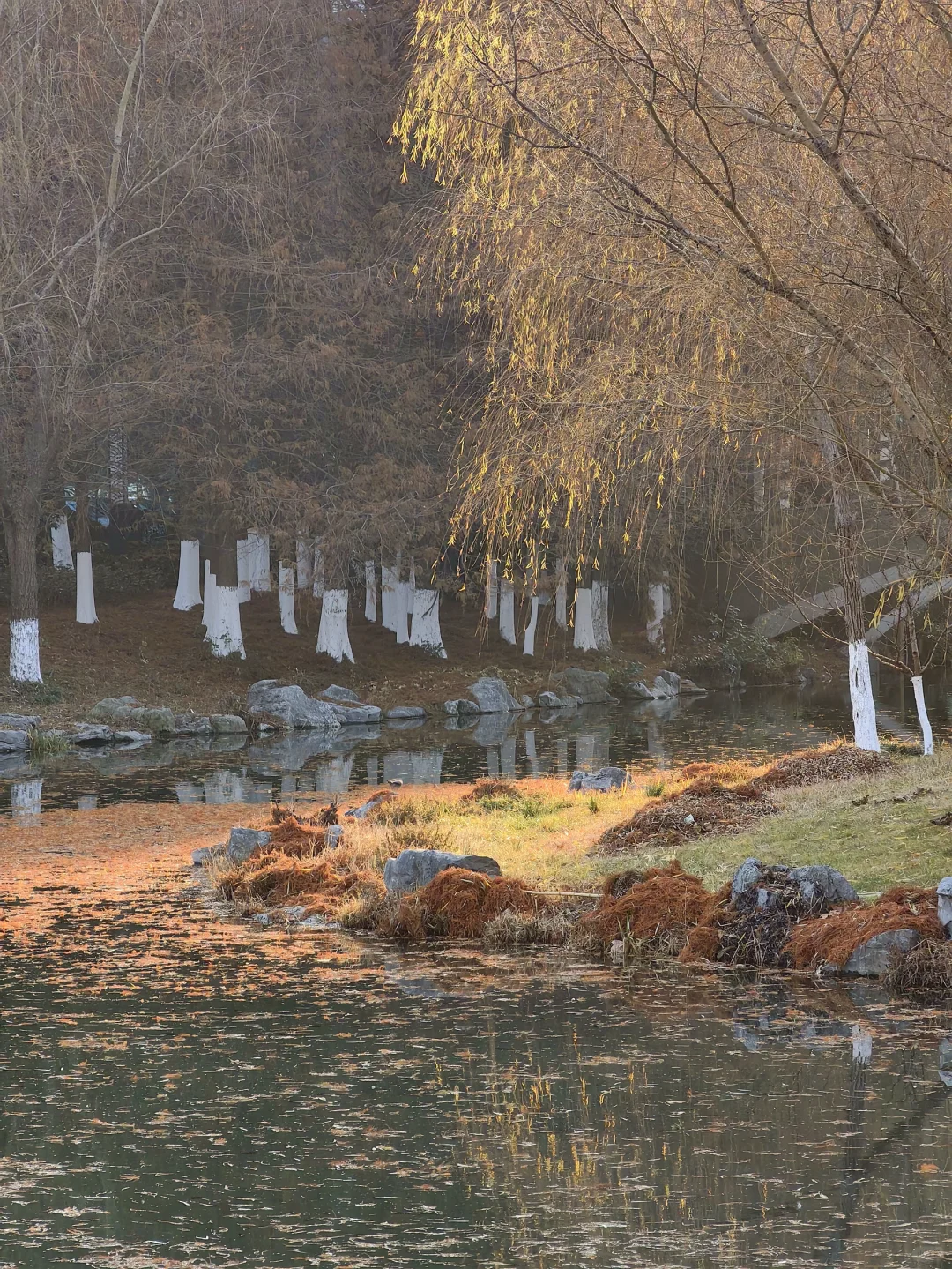 反向旅游｜盐城—盐渎公园
