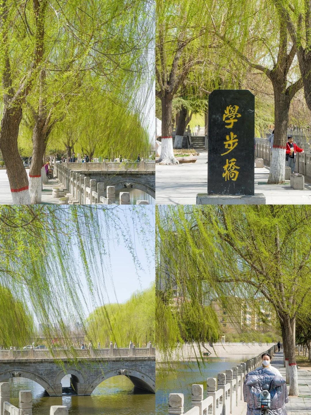 鸡窝头女孩没骗我‼️邯郸旅游含金量可太高了