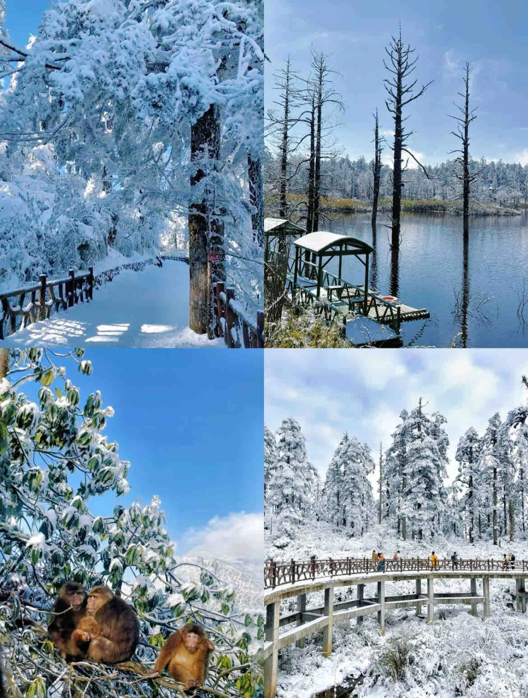 📍人生无解，瓦屋撒野