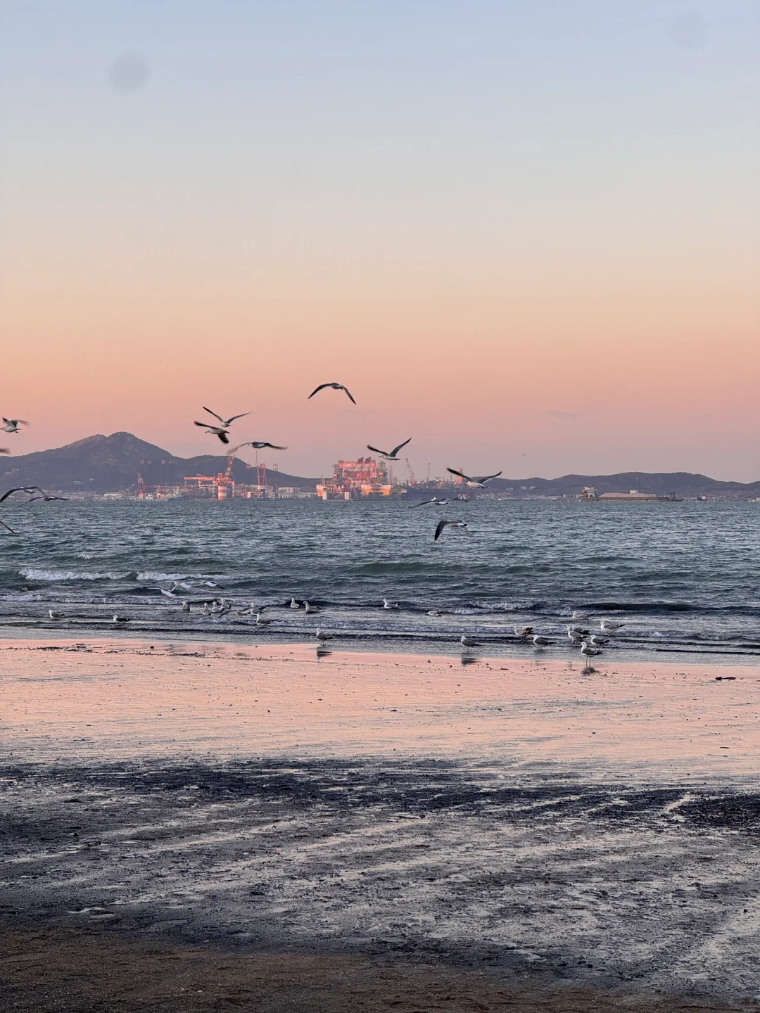 淡季的大连真的是人间理想（18图Live）