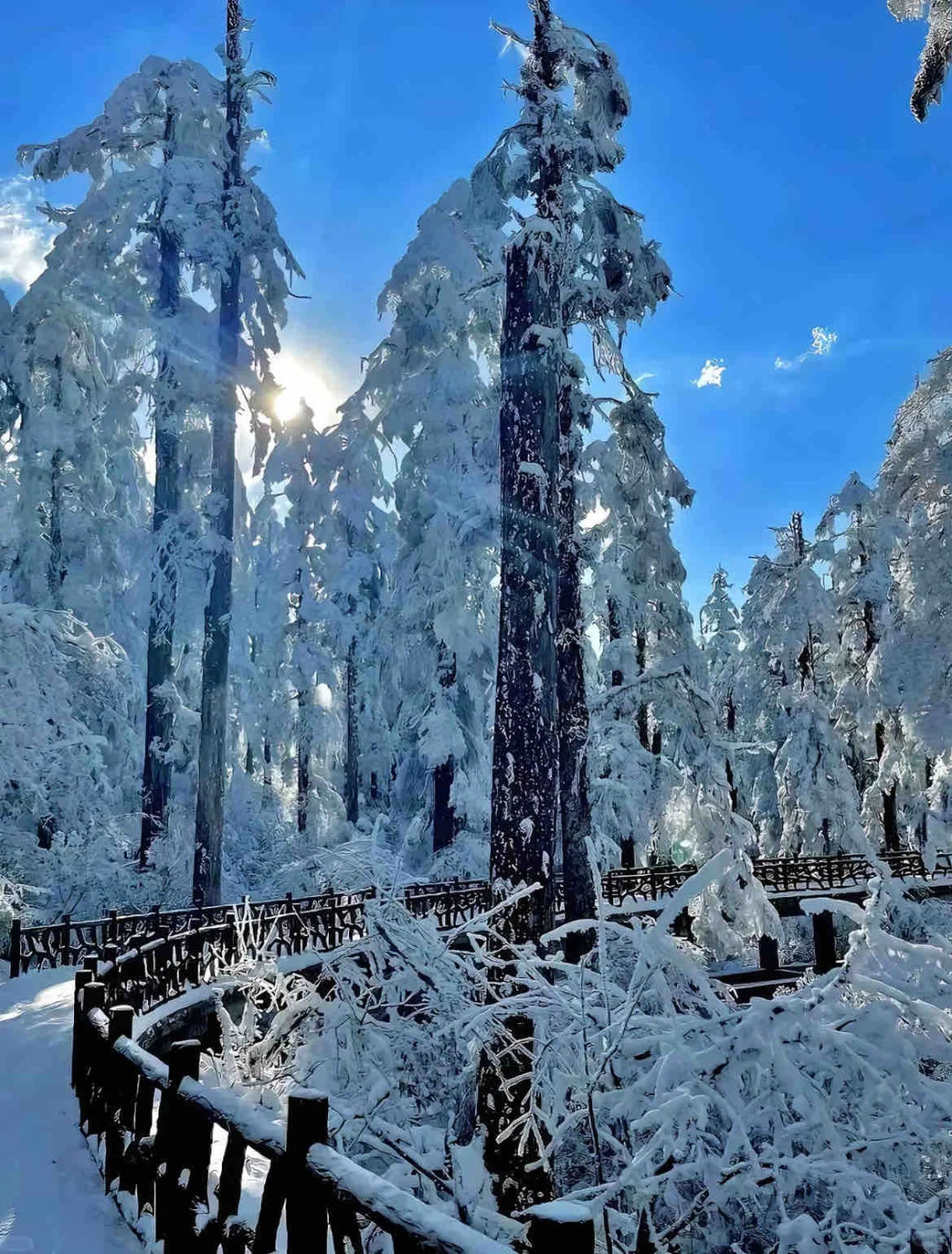 📍人生无解，瓦屋撒野