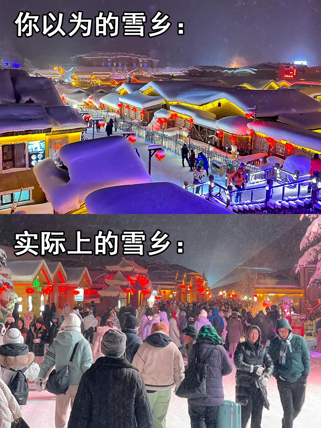 实话巨难听，却是12-2月哈尔滨真实现状😓