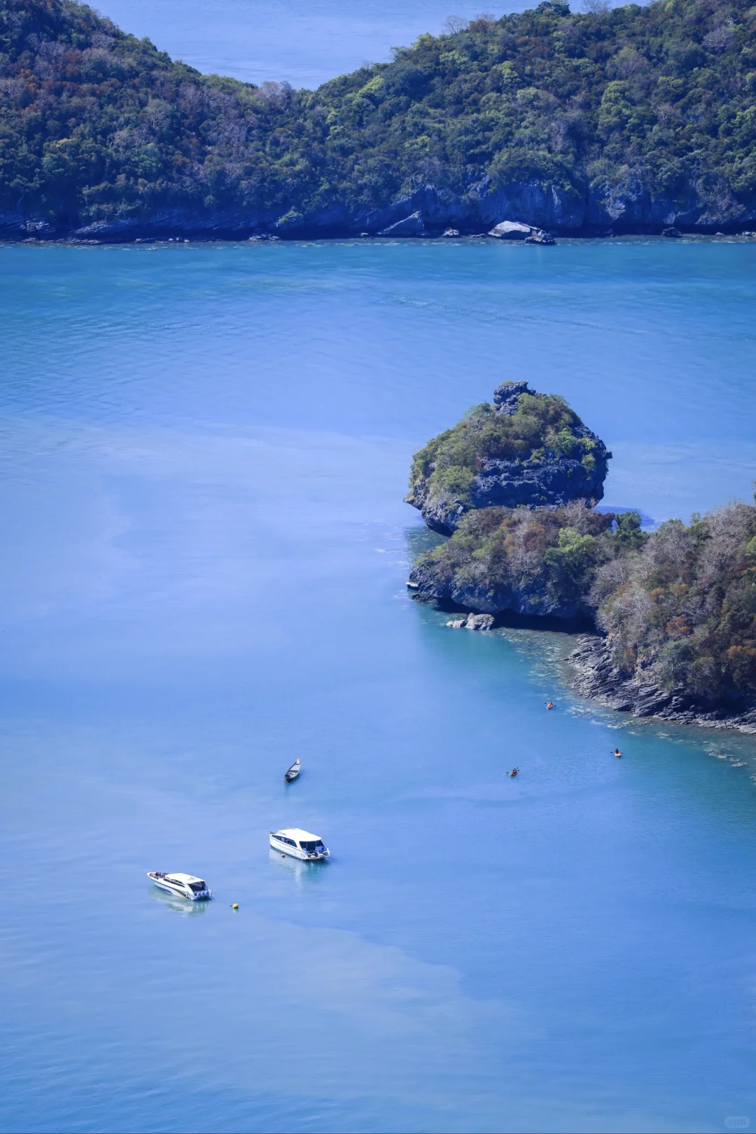 苏梅岛🔥安通国家海洋公园出海干货❗️❗
