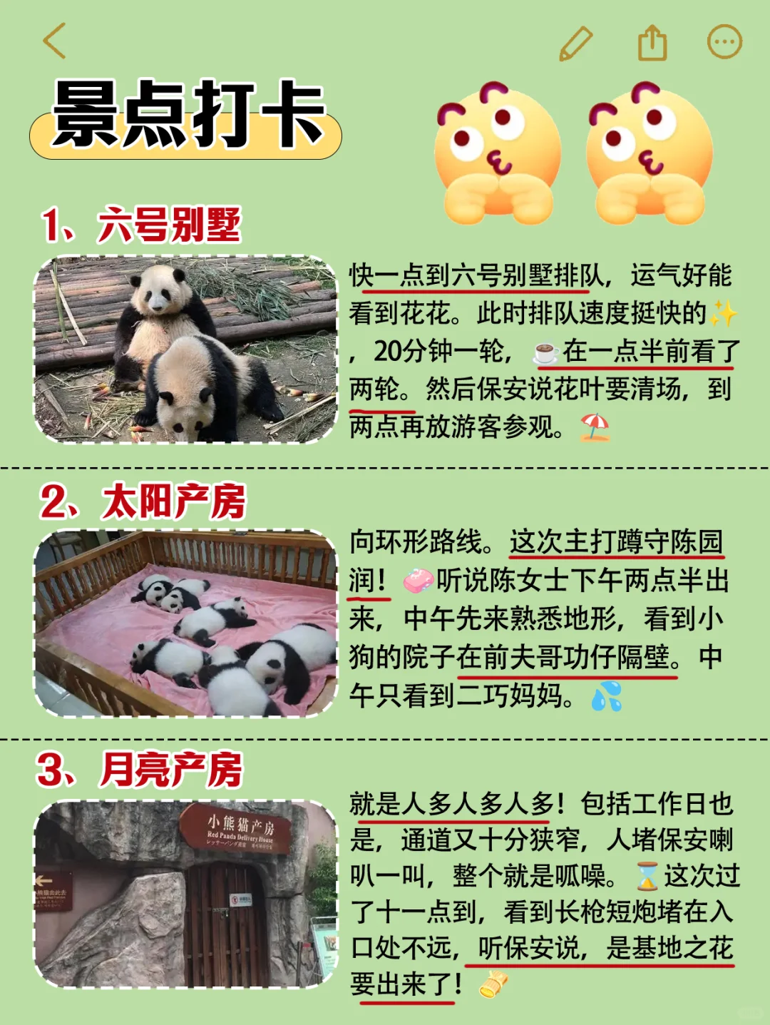 熊猫基地旅游攻略‼️去了3次的土著建议