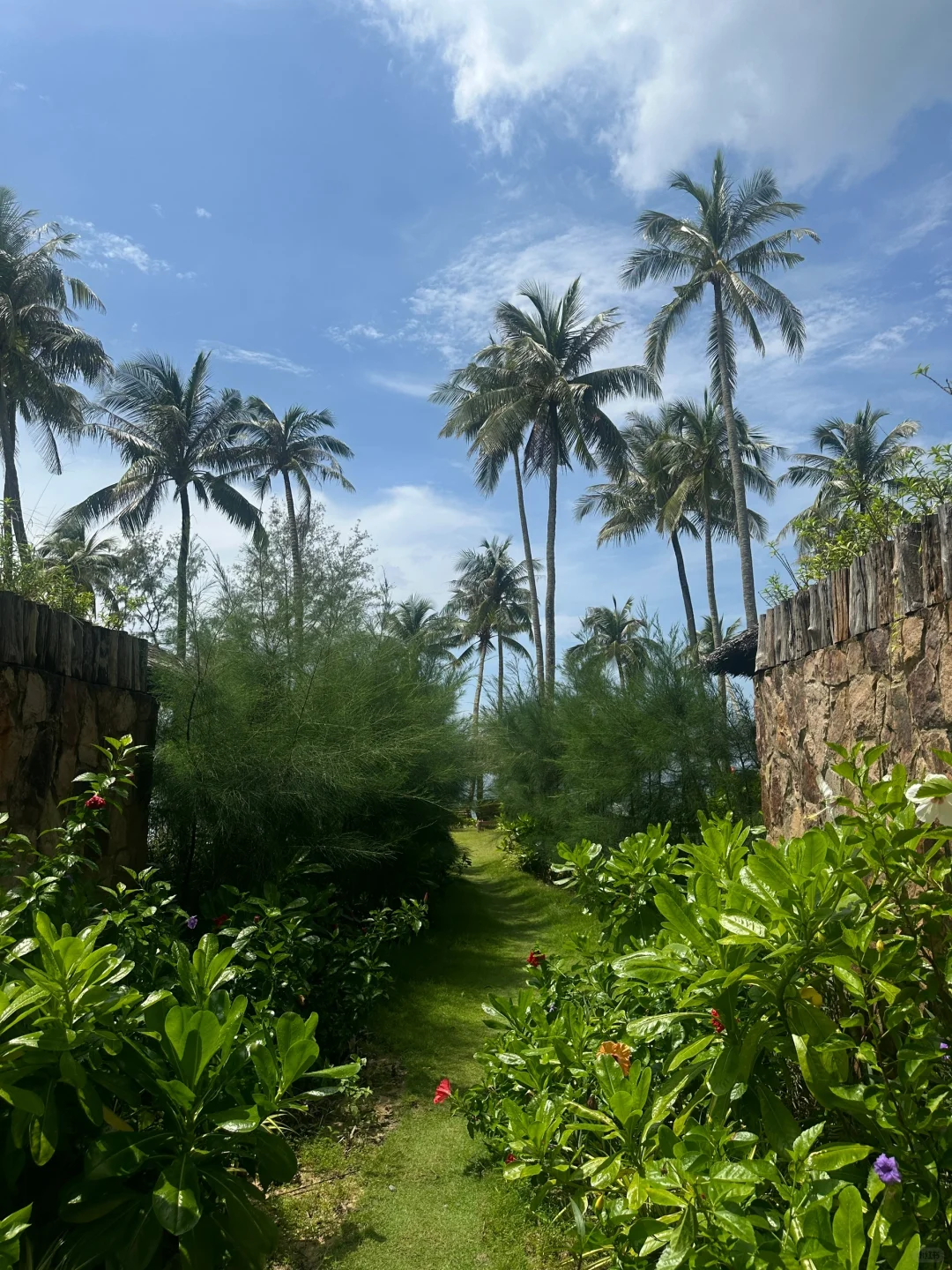 海边日记（想去三亚版）