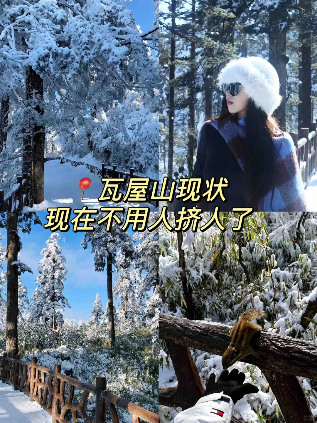 📍人生无解，瓦屋撒野